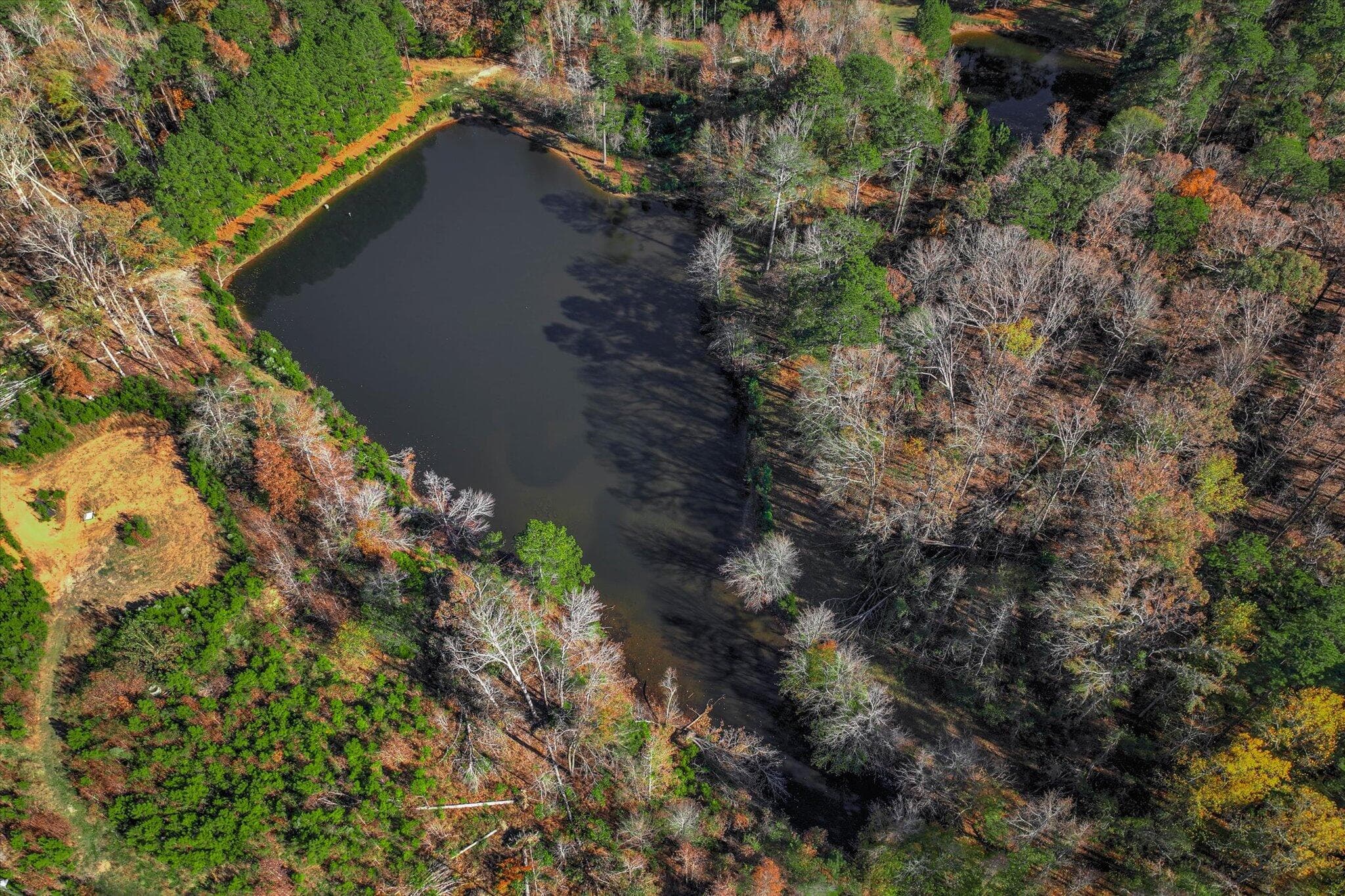 Mixed Use at 7501 Rainey Morris Road, Appling, GA 30802, photo 17 of 47