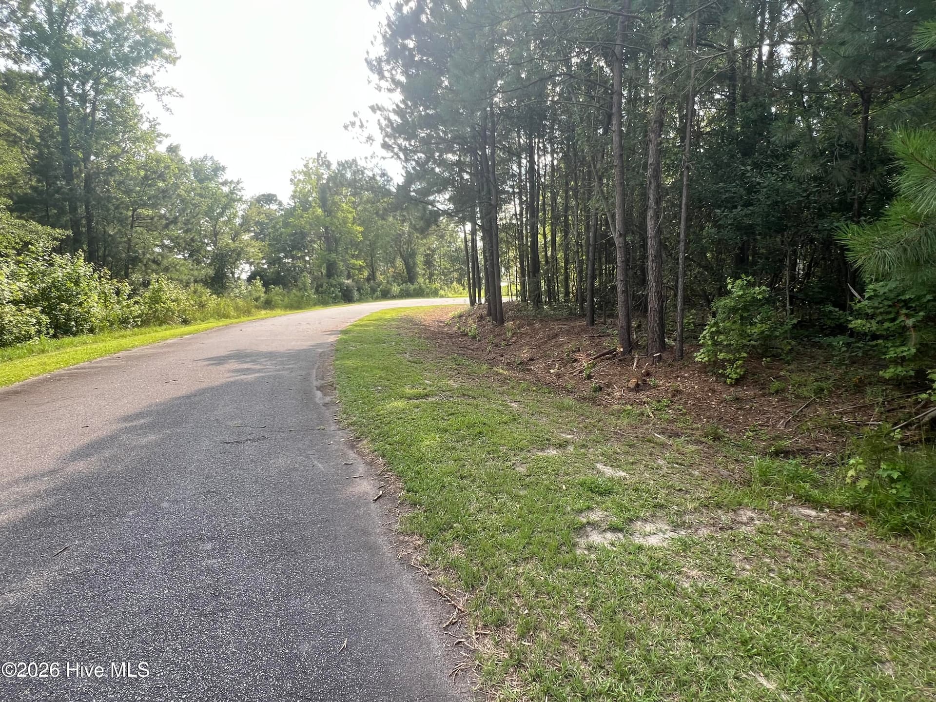 Lot 4 Cedar Lane, Belhaven, NC 27810