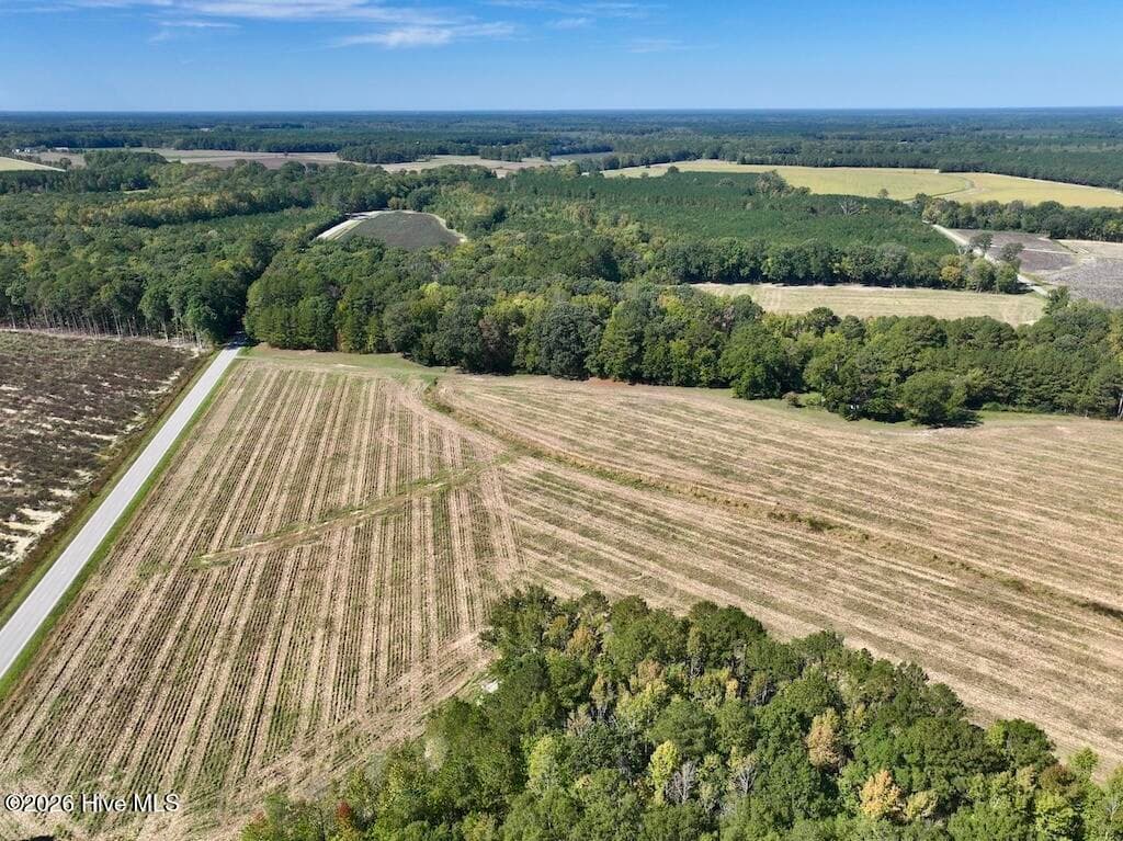 Mixed Use at 0 Spring Hill Road, Scotland Neck, NC 27874, photo 19 of 93
