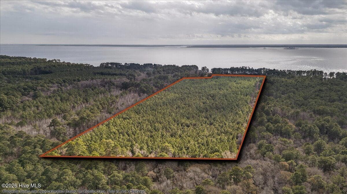 Wooded at 2162 Old Pamlico Beach Road W, Belhaven, NC 27810, photo 12 of 25