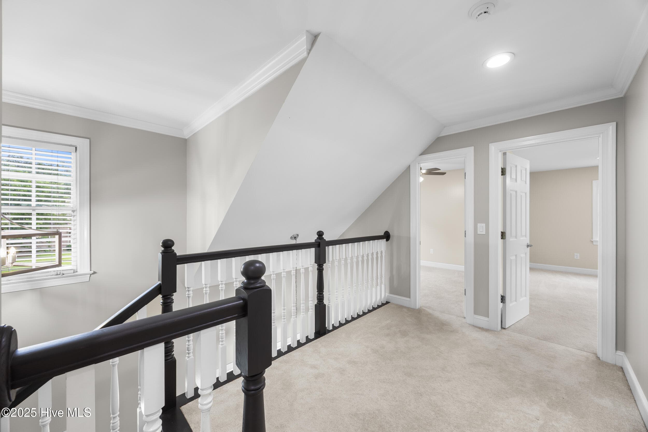 Single Family Residence at 376 Red Fox Run Drive, Wallace, NC 28466, photo 58 of 95