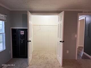 Large closet & a built-in safe - 3760 Sean Drive, La Grange, NC 28551