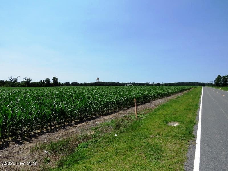 Agriculture at Tbd Highway 71, Red Springs, NC 28377, photo 10 of 17