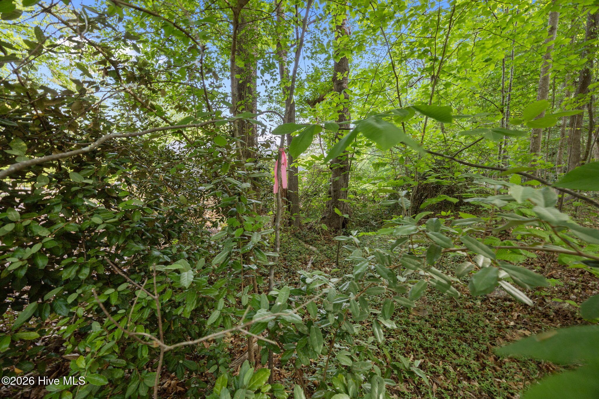 000 Hayley Street, Warrenton, NC 27589