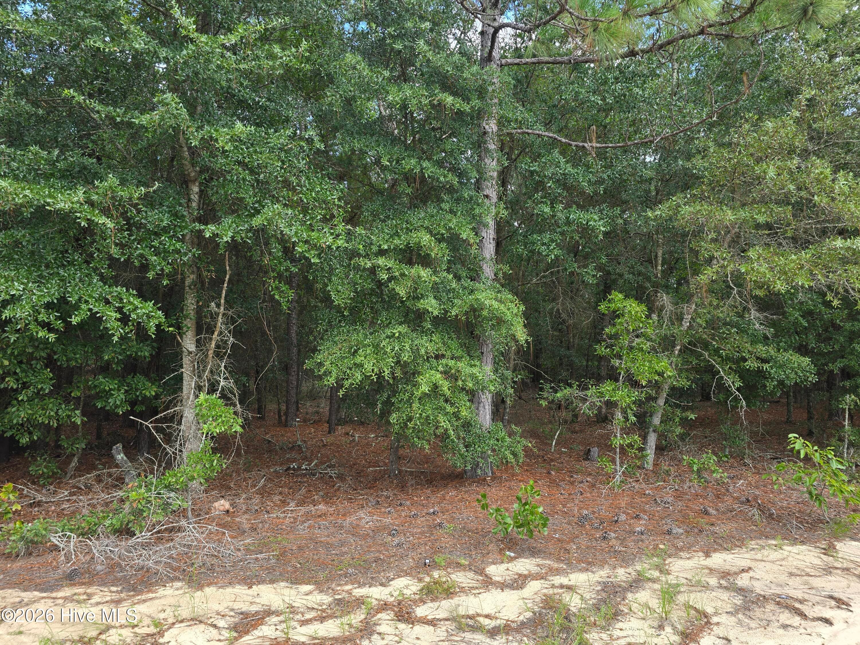 Mixed Use at 317 R J Johnson Road, Allendale, SC 29810, photo 4 of 8