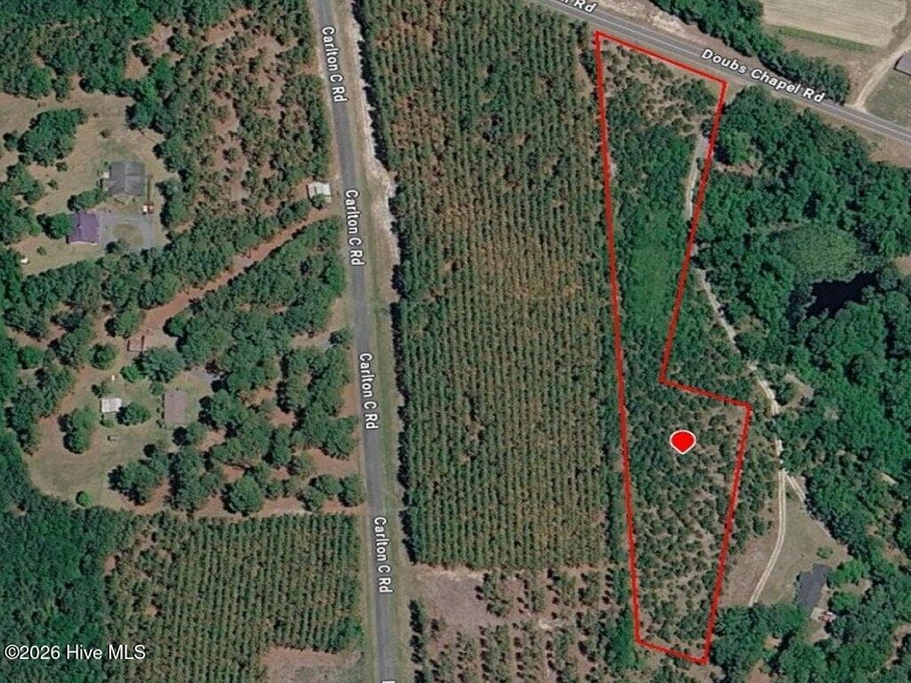 Residential Lot at 1581 Doubs Chapel Road, West End, NC 27376, photo 10 of 10