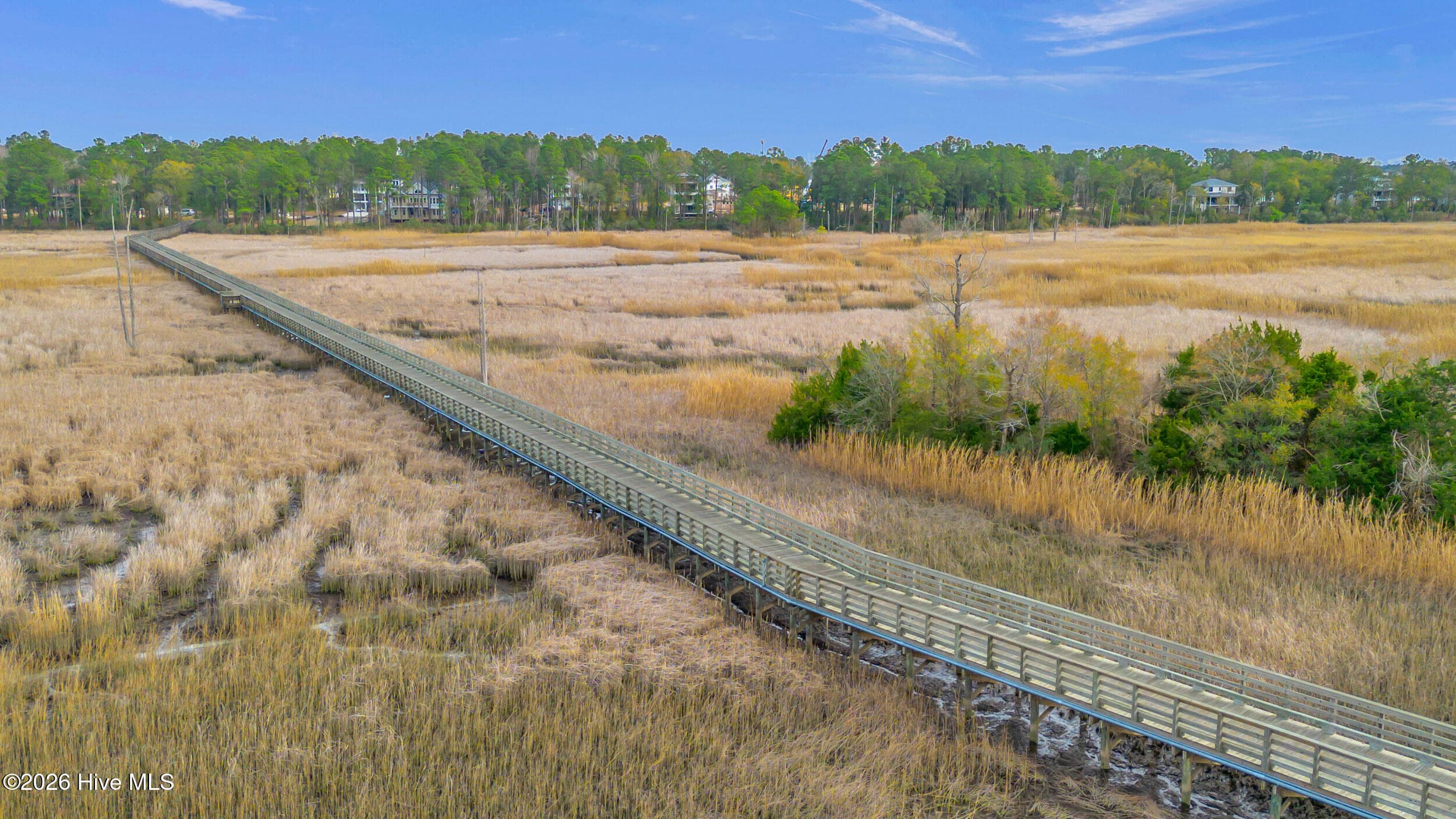 Single Family Residence at 1636 Osprey Cove Court, Wilmington, NC 28401, photo 106 of 106