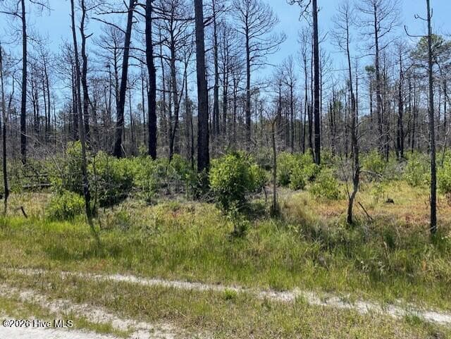 799 73 Jasmine Road, Boiling Spring Lakes, NC 28461