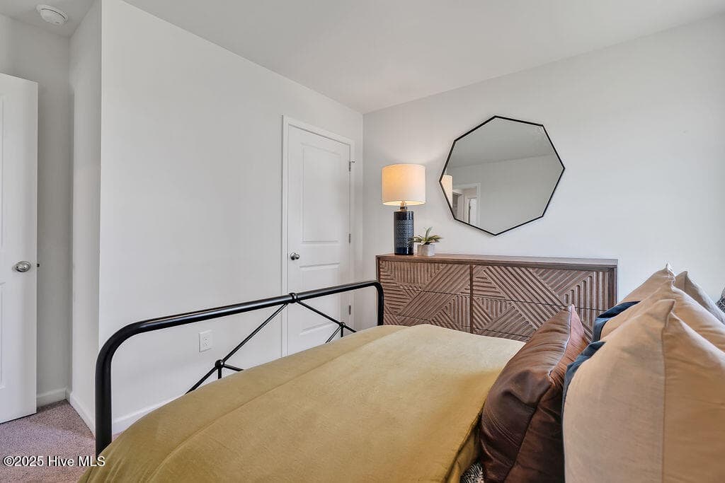 The photos you see here are for illustration purposes only, interior and exterior features, options, colors and selections will vary from the homes as built. - 1110 Pampas Grass Drive Lot 340, Castle Hayne, NC 28429