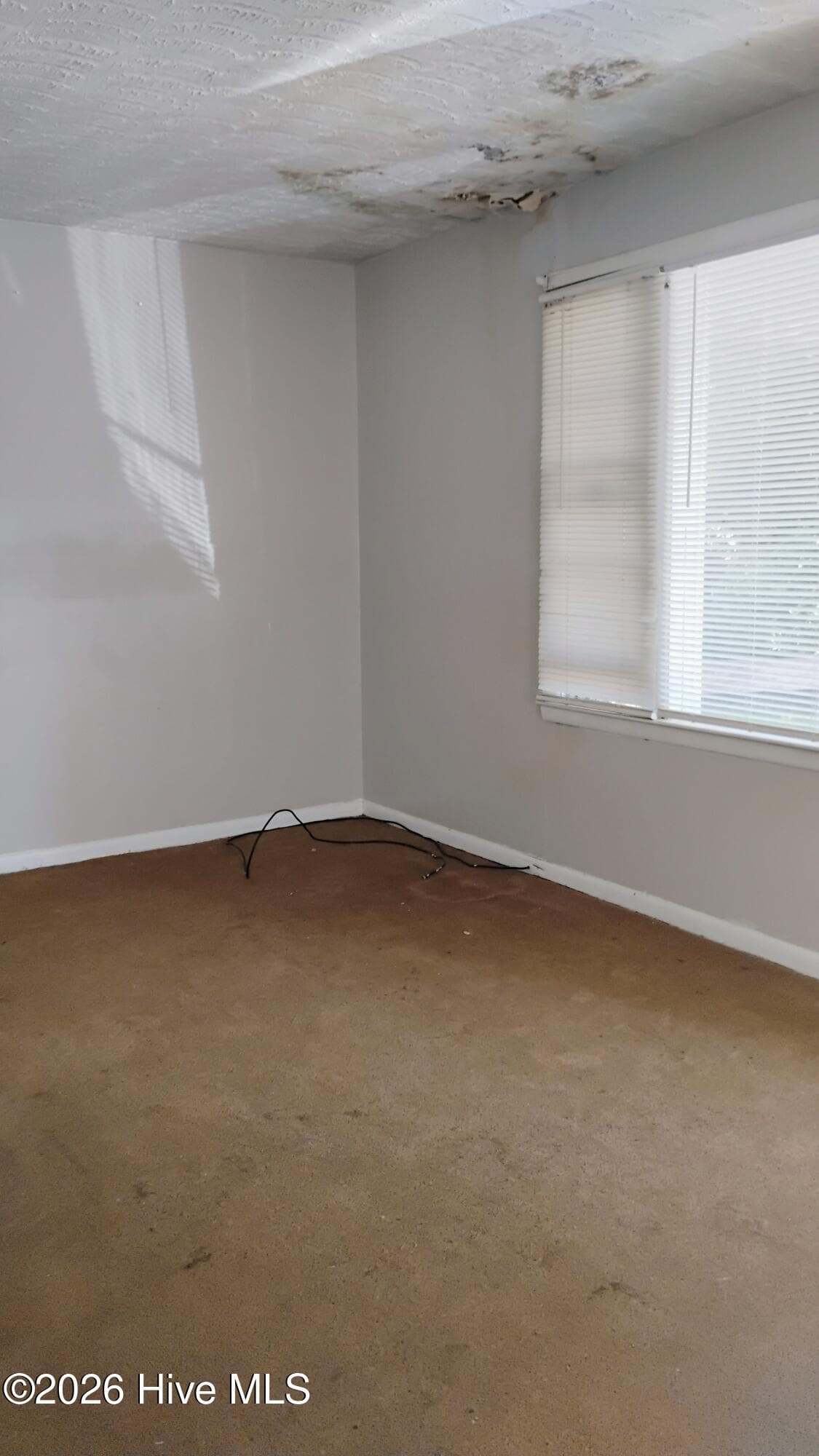 L/R water damaged ceiling - 264 Japonica Avenue, Augusta, GA 30901
