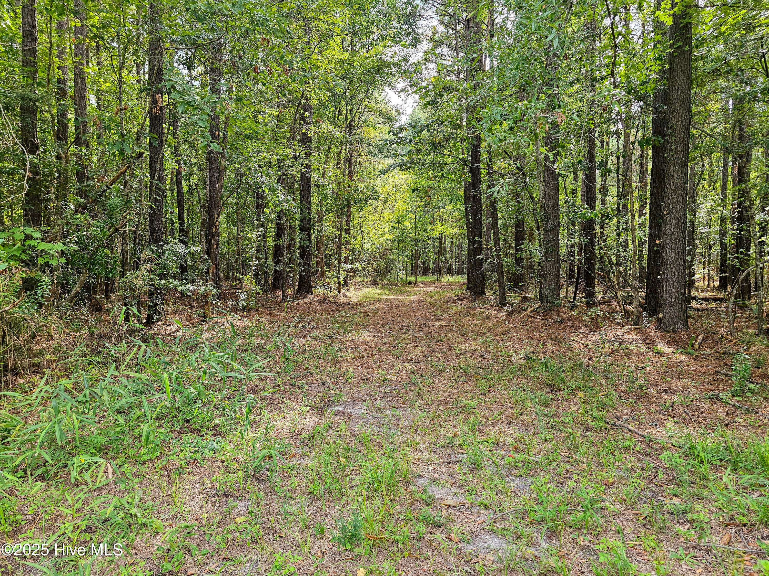 Residential Lot at Lot 77 77 Mcgowan Road, Bath, NC 27808, photo 4 of 16