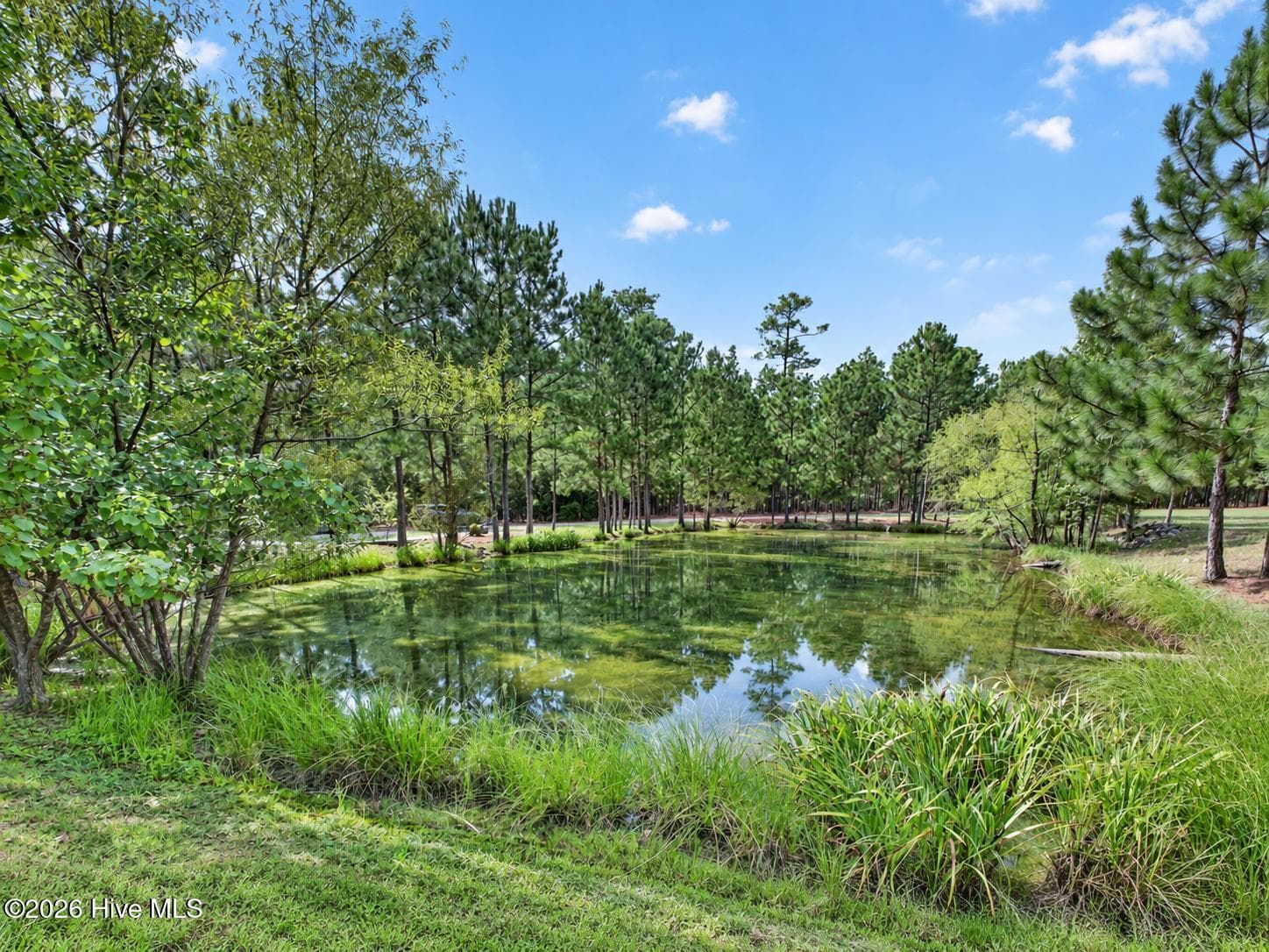 Single Family Residence at 505 Maxwell Road, Aiken, SC 29803, photo 11 of 68