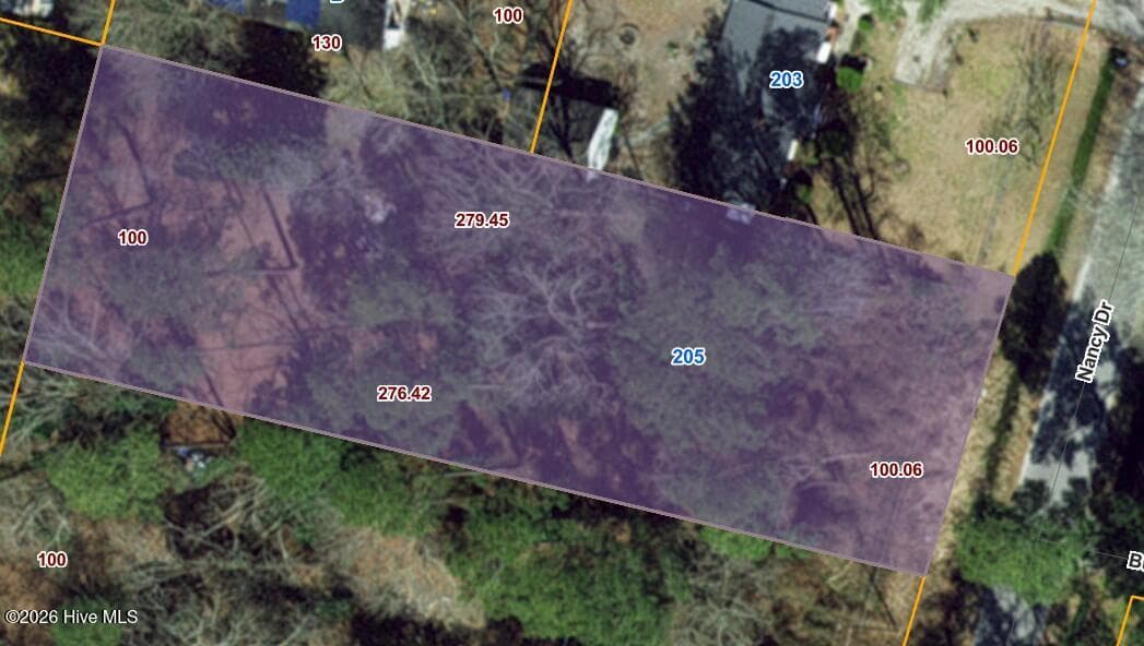 205 9 Nancy Drive, Dudley, NC 28333