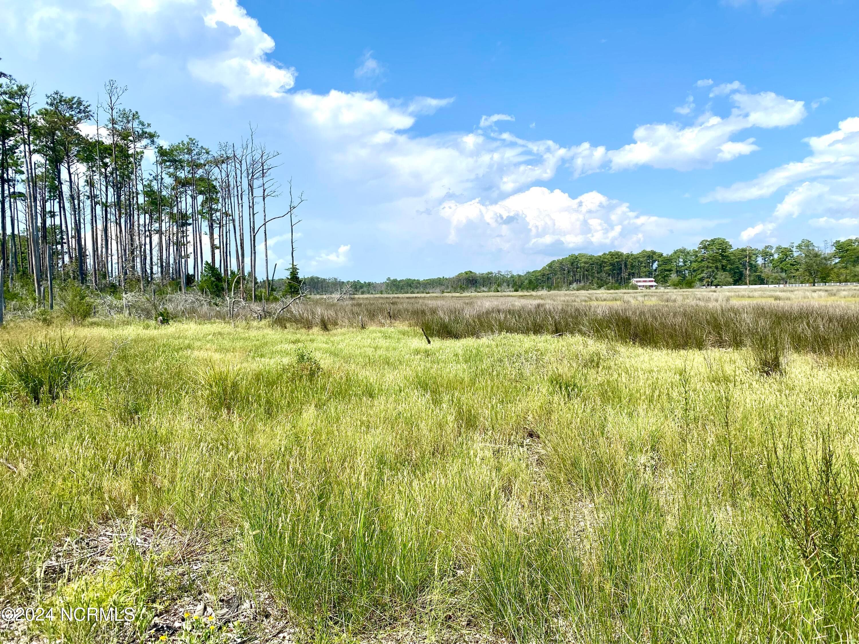 Residential Lot at 280 Donnie Davis Road, Williston, NC 28589, photo 19 of 22