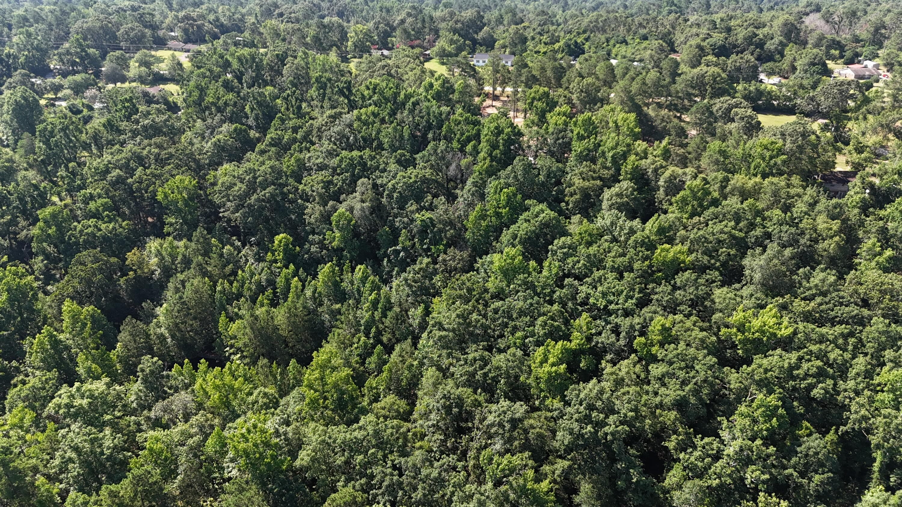 Undeveloped at 2031 Mcdade Road, Hephzibah, GA 30815, photo 12 of 16
