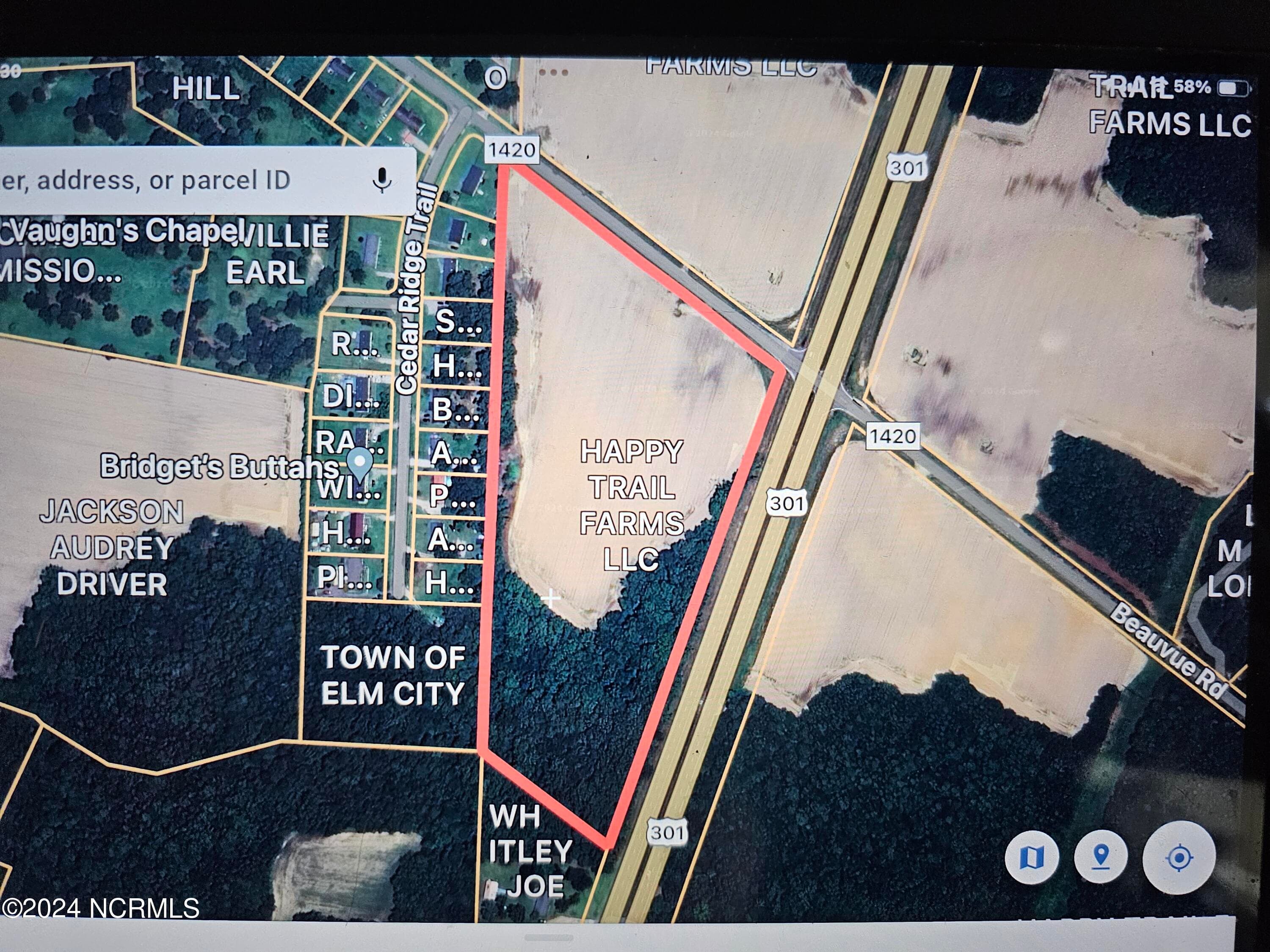 Lot B Us 301 Highway N, Elm City, NC 27822