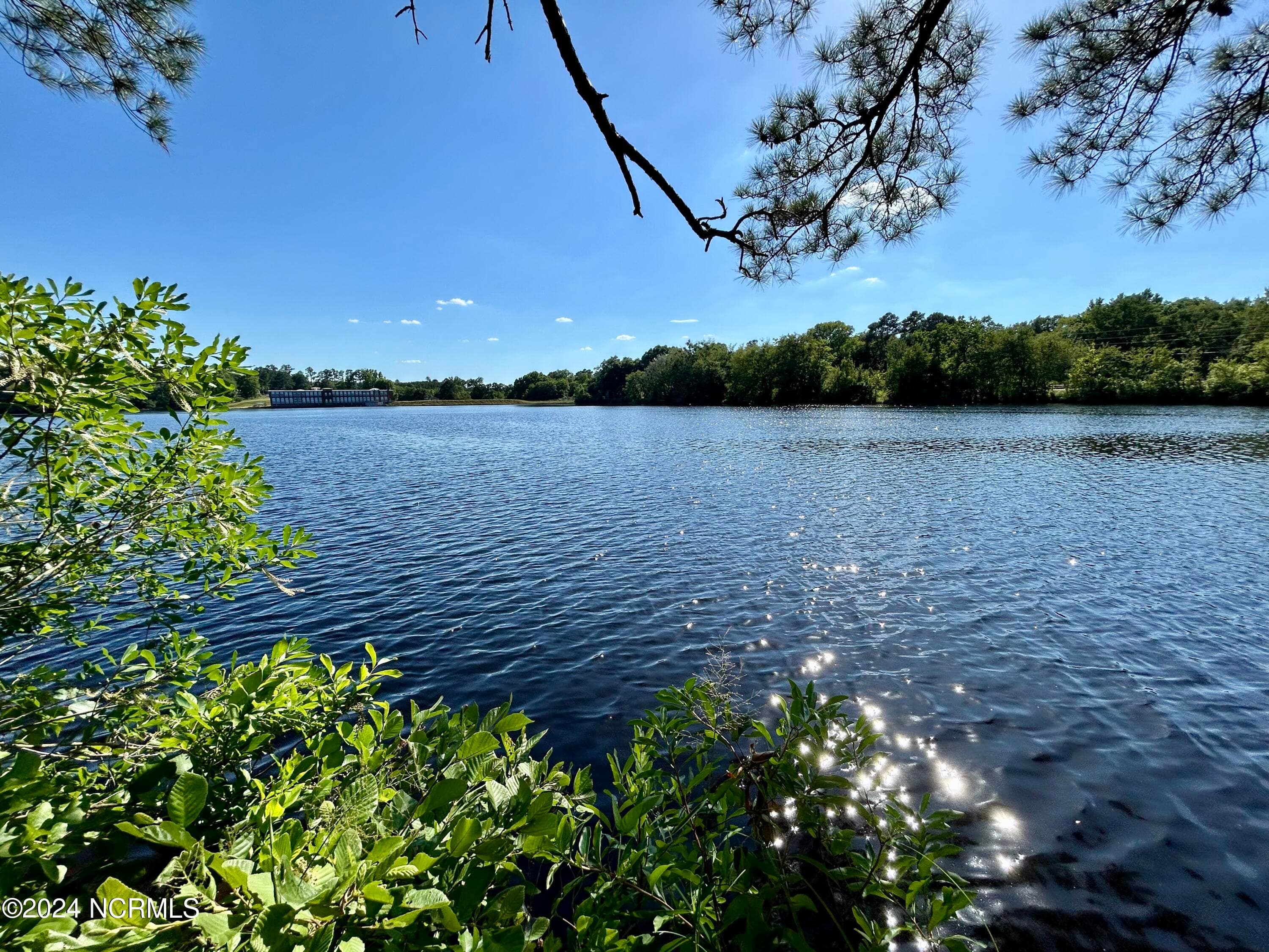Residential Lot at 112 10 American Legion Road, Rockingham, NC 28379, photo 6 of 15