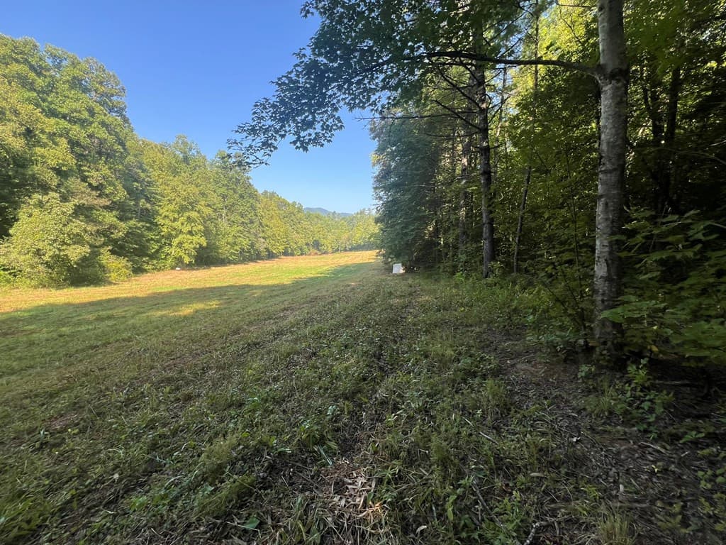 Undeveloped at 00 Rj Mountain View Drive, Murphy, NC 28906, photo 2 of 6