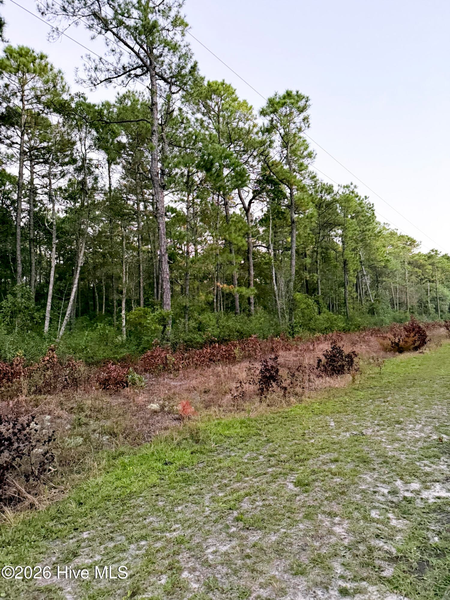 1603 10 Breezeway Drive SW, Ocean Isle Beach, NC 28469