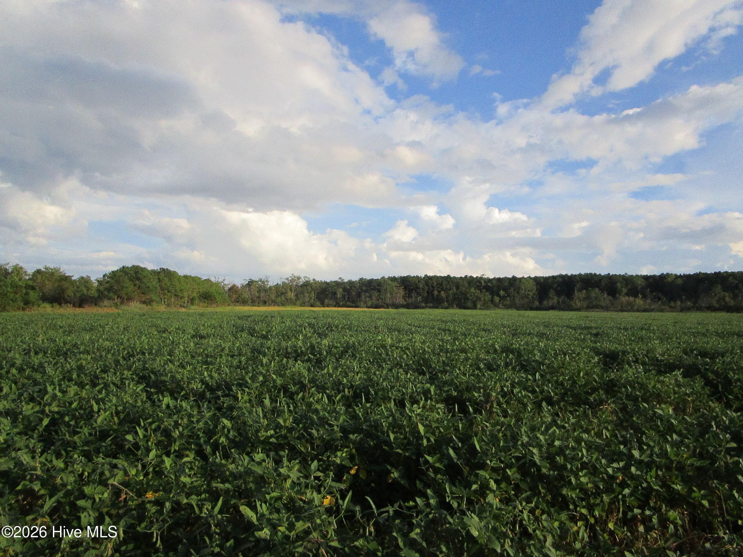 0 4 Bluff Point Road, Elizabeth City, NC 27909