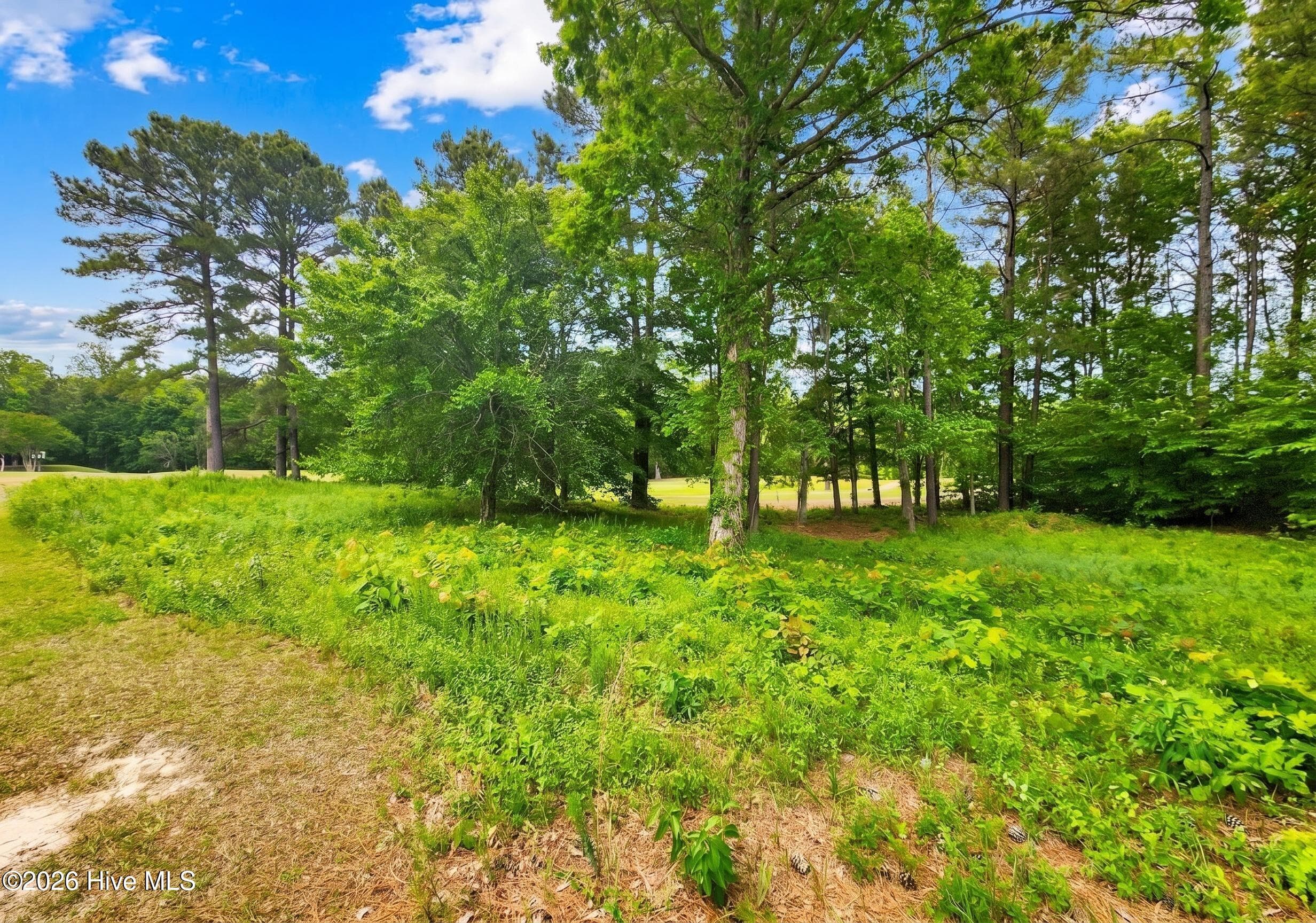 Residential Lot at 142 12 Scuppernong River Drive, Hertford, NC 27944, photo 6 of 7
