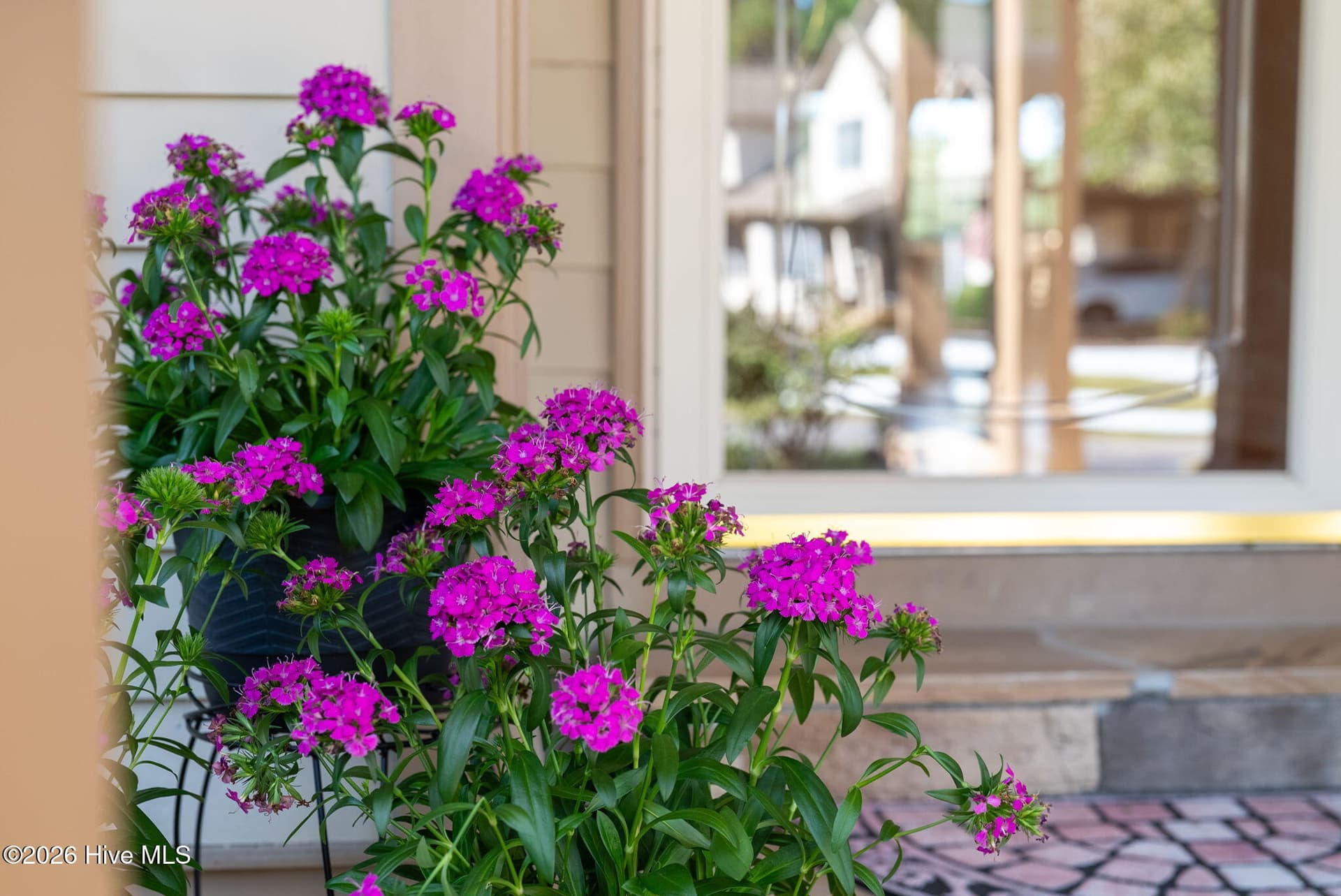 Condominium at 176 Starland Lane, Southern Pines, NC 28387, photo 16 of 69