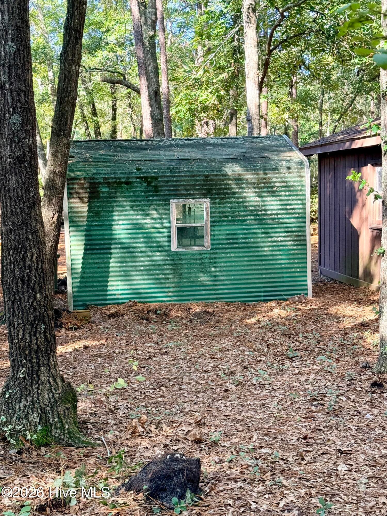 greenhouse - 12681 Blues Farm Road, Laurinburg, NC 28352