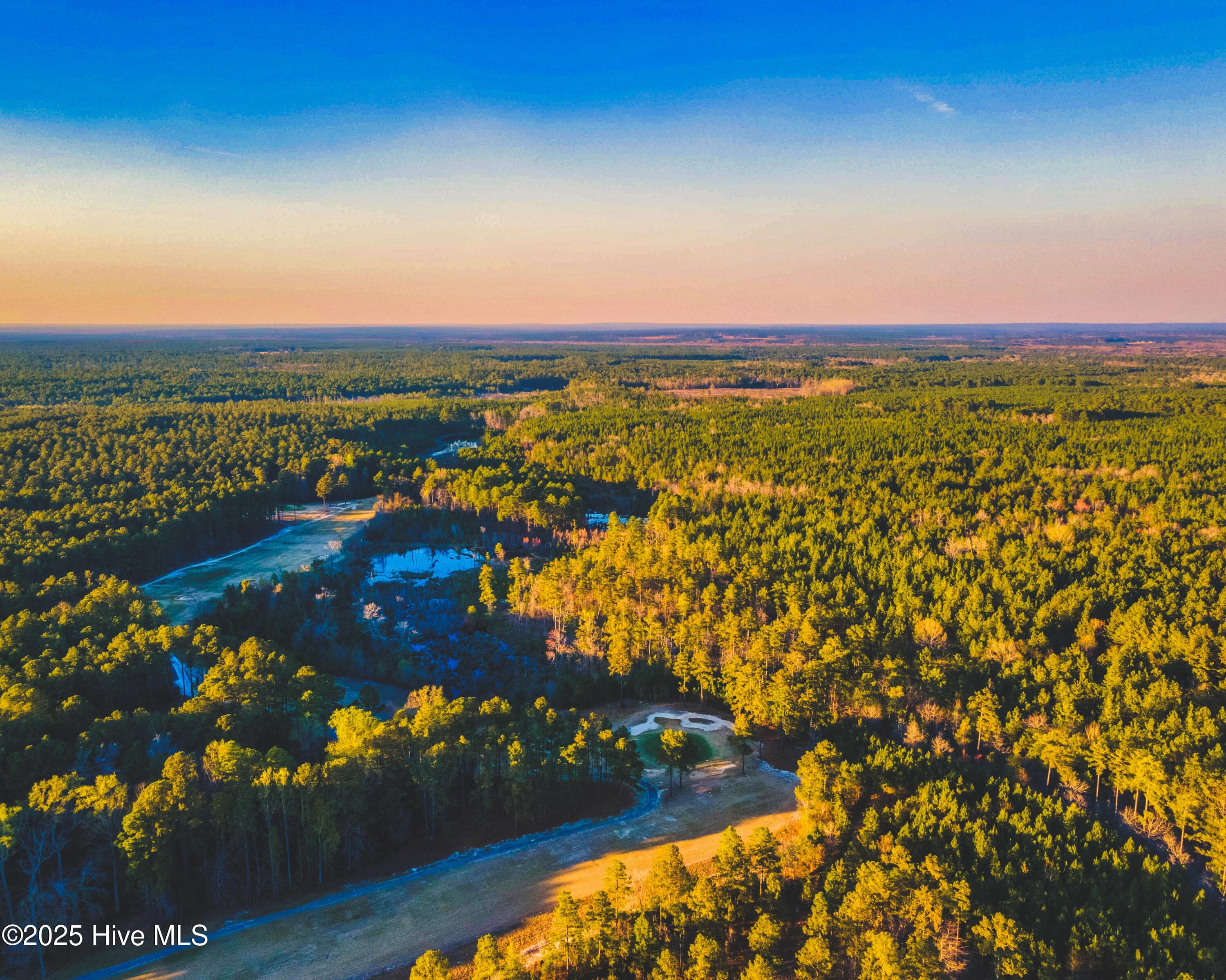 Residential Lot at Trt 8 Peach Orchard Road, Wagram, NC 28396, photo 4 of 7