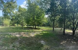 Residential Lot at 855 36 Dixie Drive, Harlem, GA 30814, photo 5 of 12