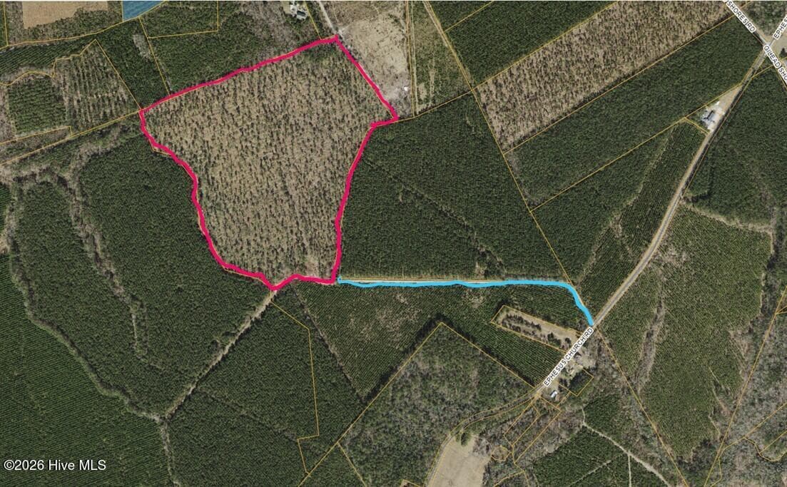Residential Lot at 0 Sr 1119 Off, Chocowinity, NC 27817, photo 5 of 5