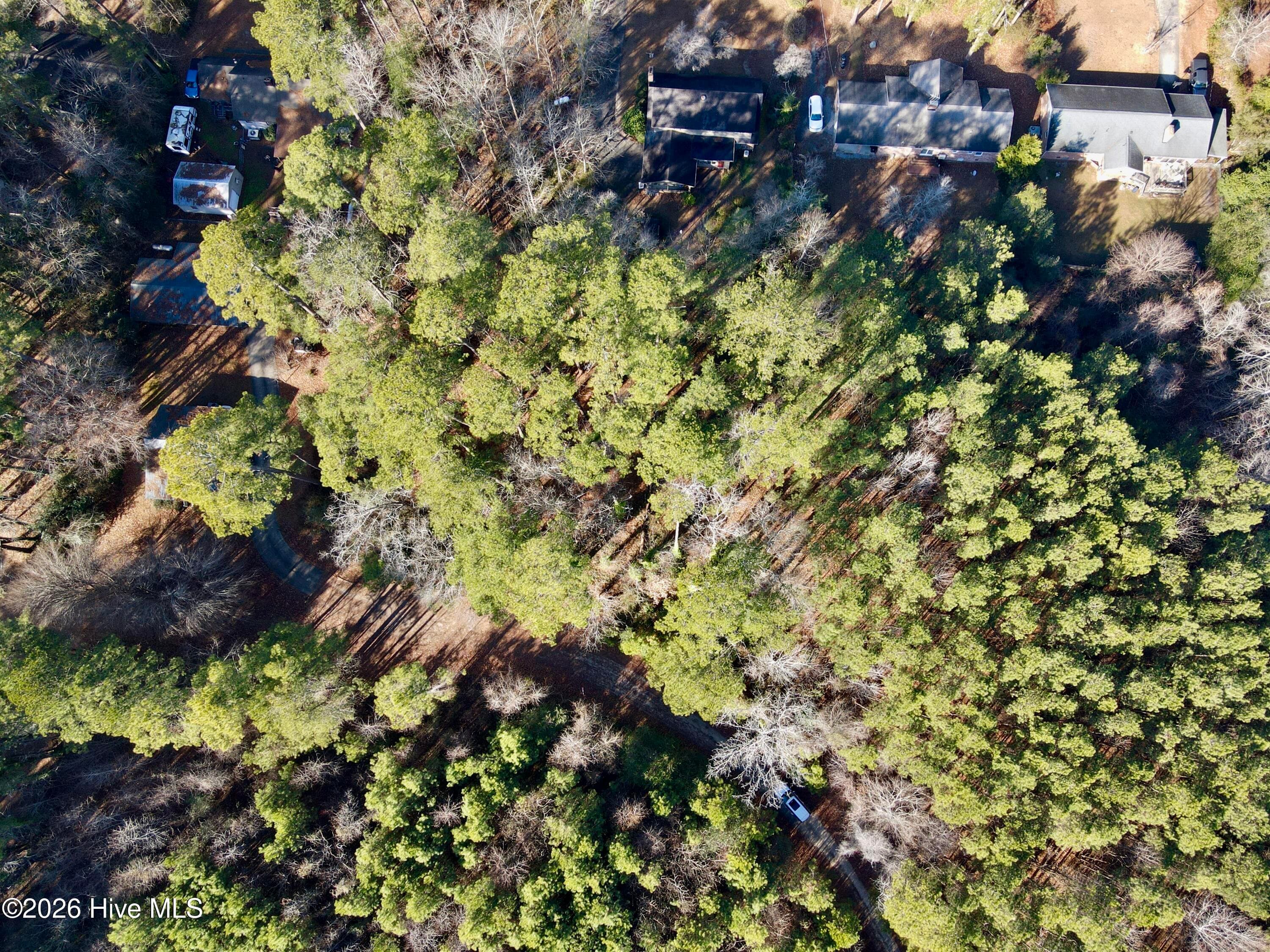 Wooded at 0 Alexander Lane, Williamston, NC 27892, photo 3 of 11