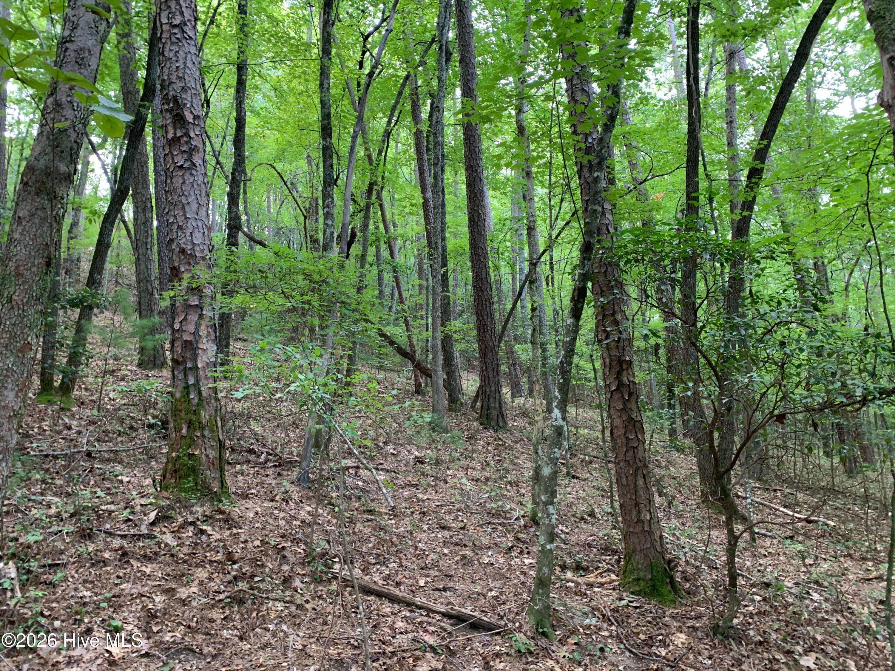 Wooded at 2.87 Ac Hedden Road, Murphy, NC 28906, photo 11 of 14