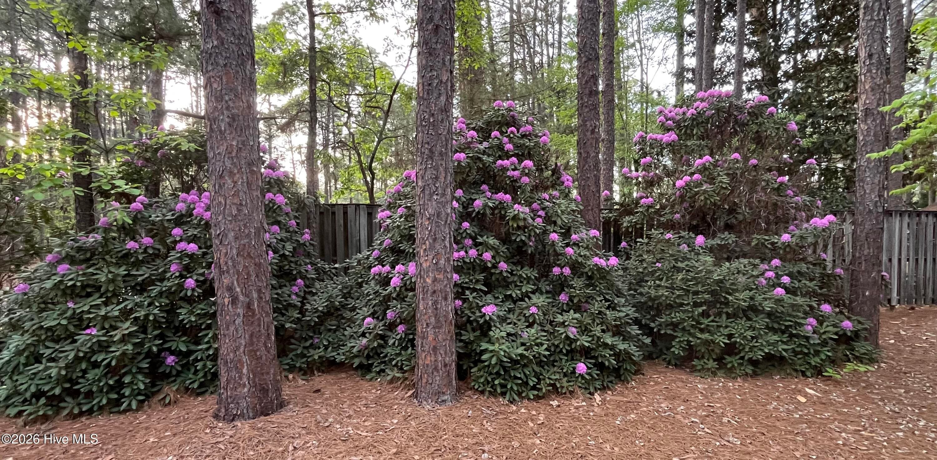 Single Family Residence at 335 Swoope Drive, Southern Pines, NC 28387, photo 3 of 4