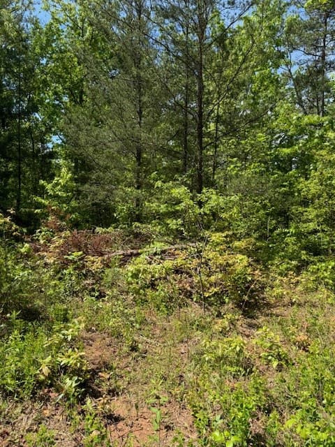 Land at Lot 12 Paradise, Marble, NC 28905, photo 3 of 4