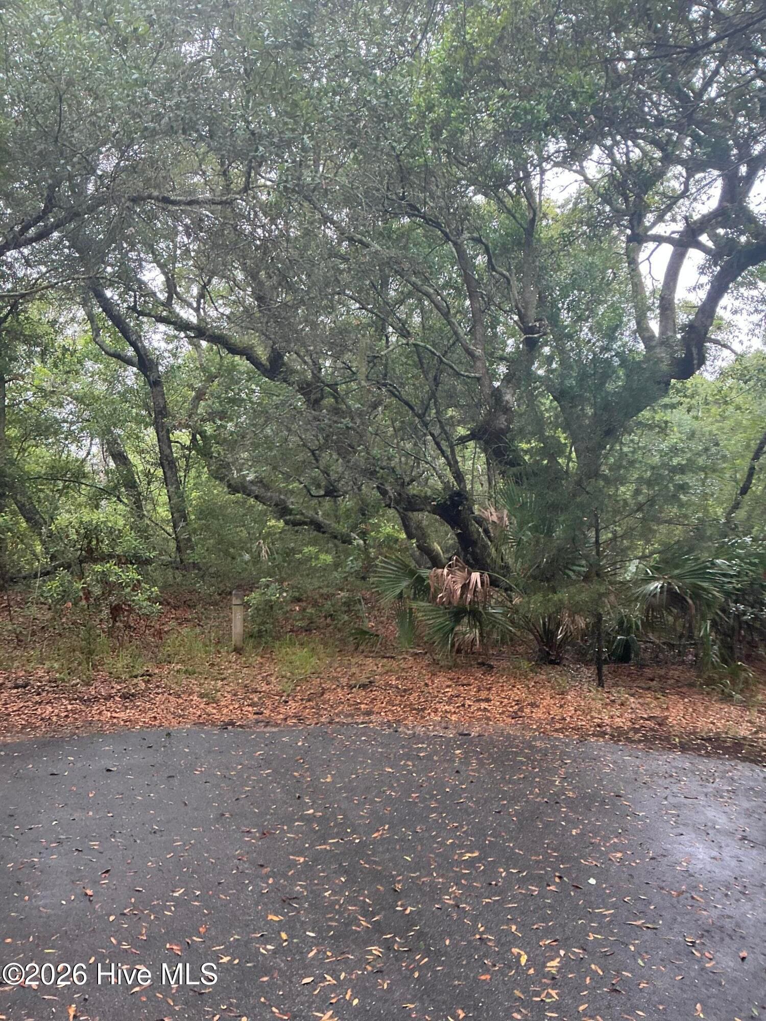 Residential Lot at 8 18 Leopard Frog Court, Bald Head Island, NC 28461, photo 4 of 8