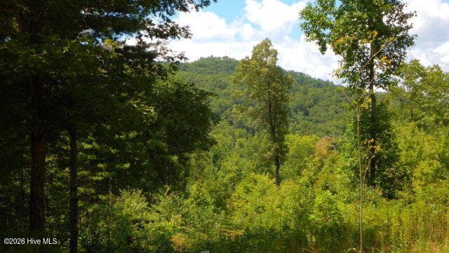 16 16 Tyler Ridge, Murphy, NC 28906