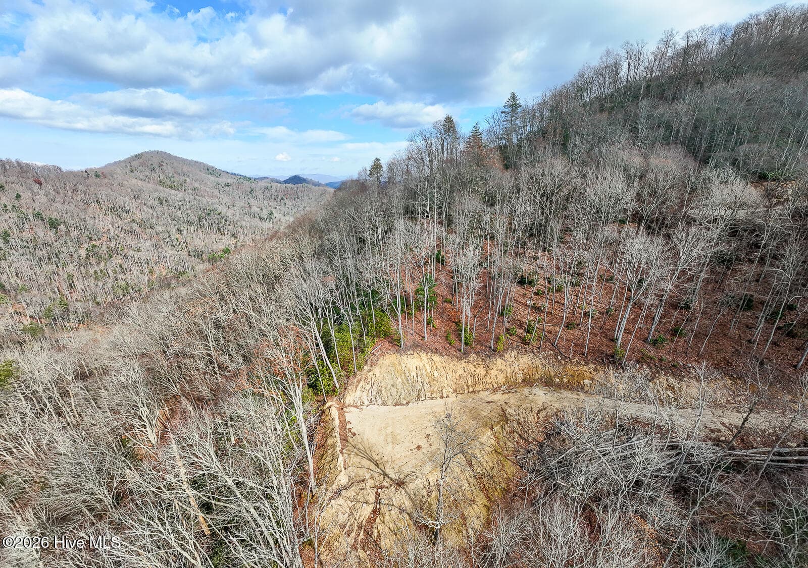 Undeveloped at Lot 20 Walnut Cove Branch, Robbinsville, NC 28771, photo 6 of 31