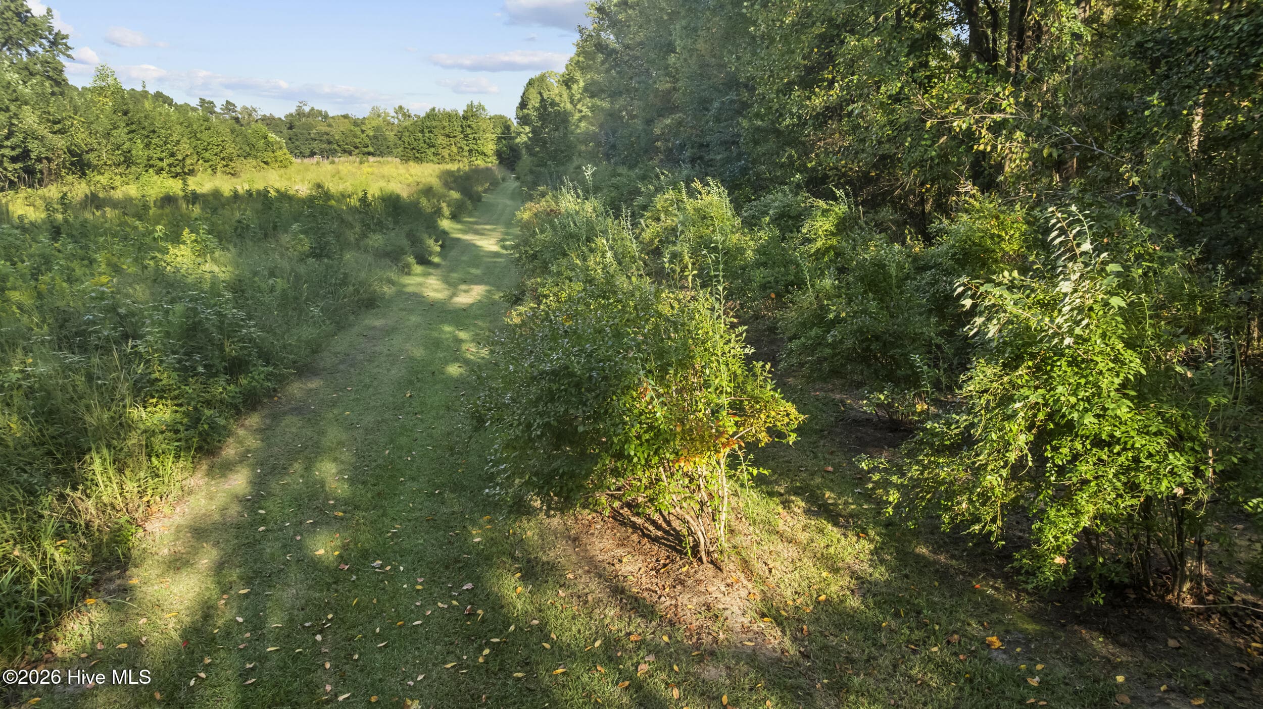 Single Family Residence at 6500 Maggie Hart Lane, Grifton, NC 28530, photo 45 of 66