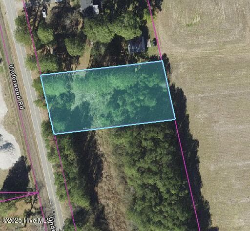 Wooded at 0 Underwood Road, Murfreesboro, NC 27855, photo 2 of 6