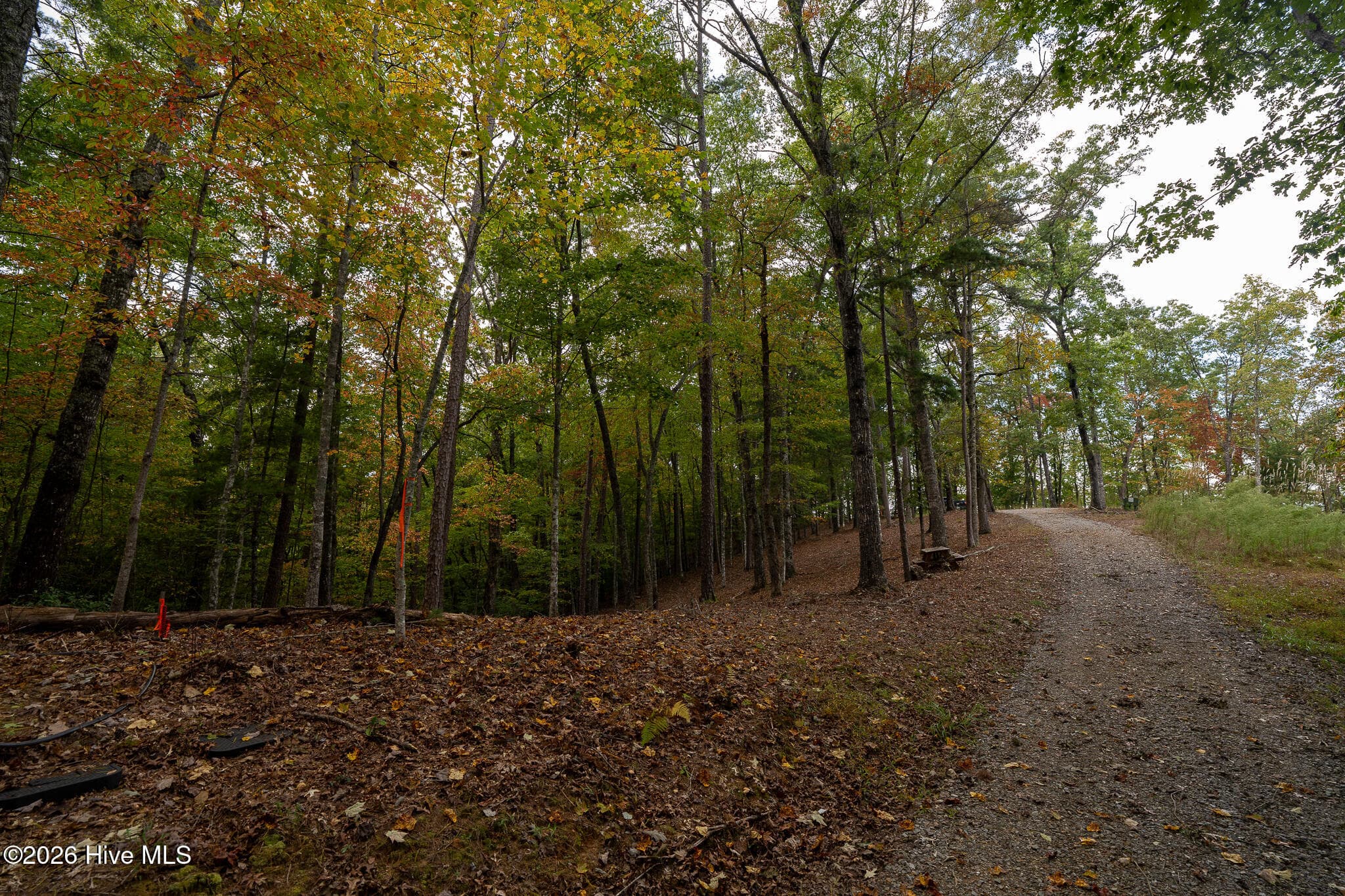 Wooded at Lot 22 Morris Ridge Drive, Murphy, NC 28906, photo 15 of 23