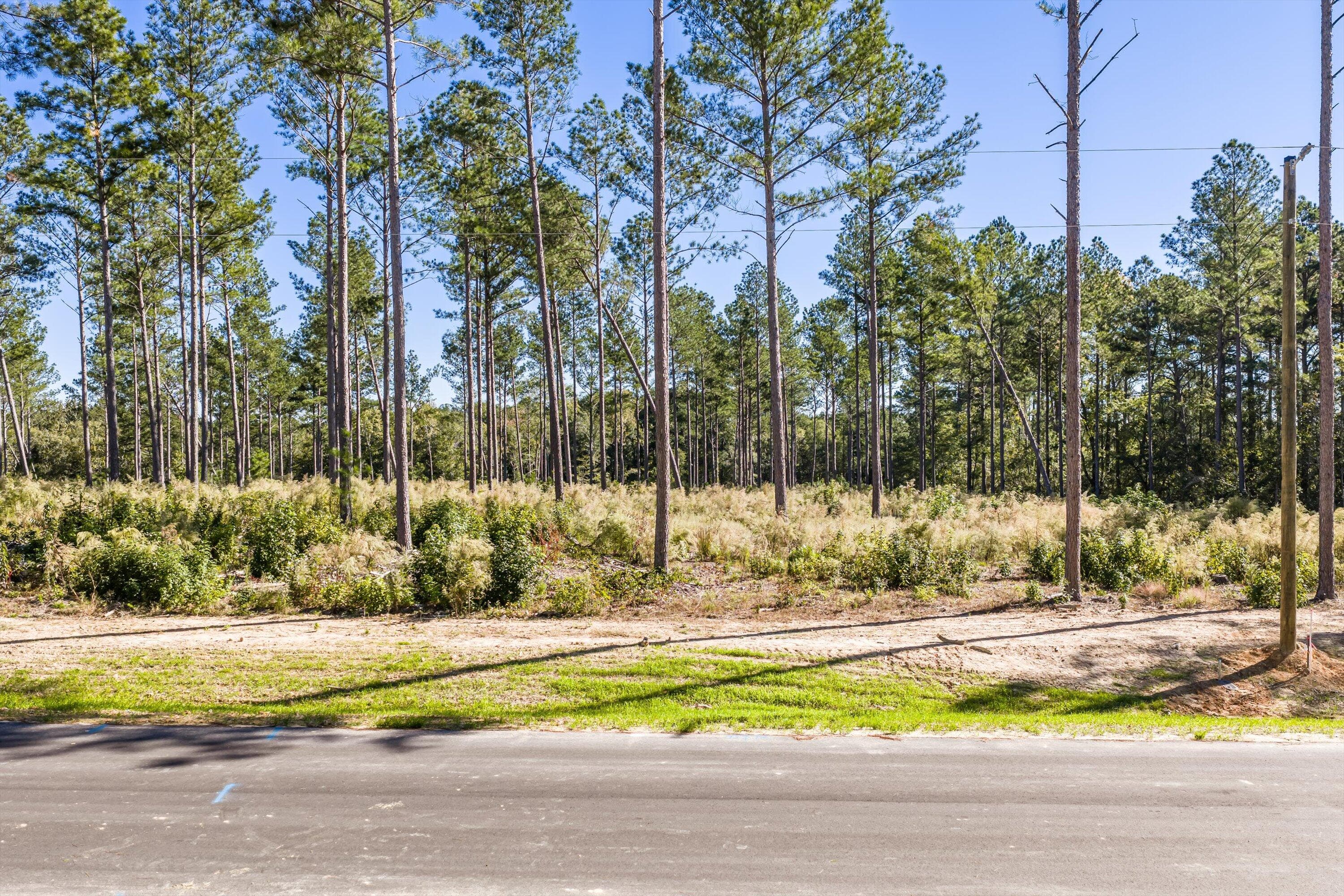Residential Lot at 119 Beagle Chase Drive, Appling, GA 30802, photo 5 of 6