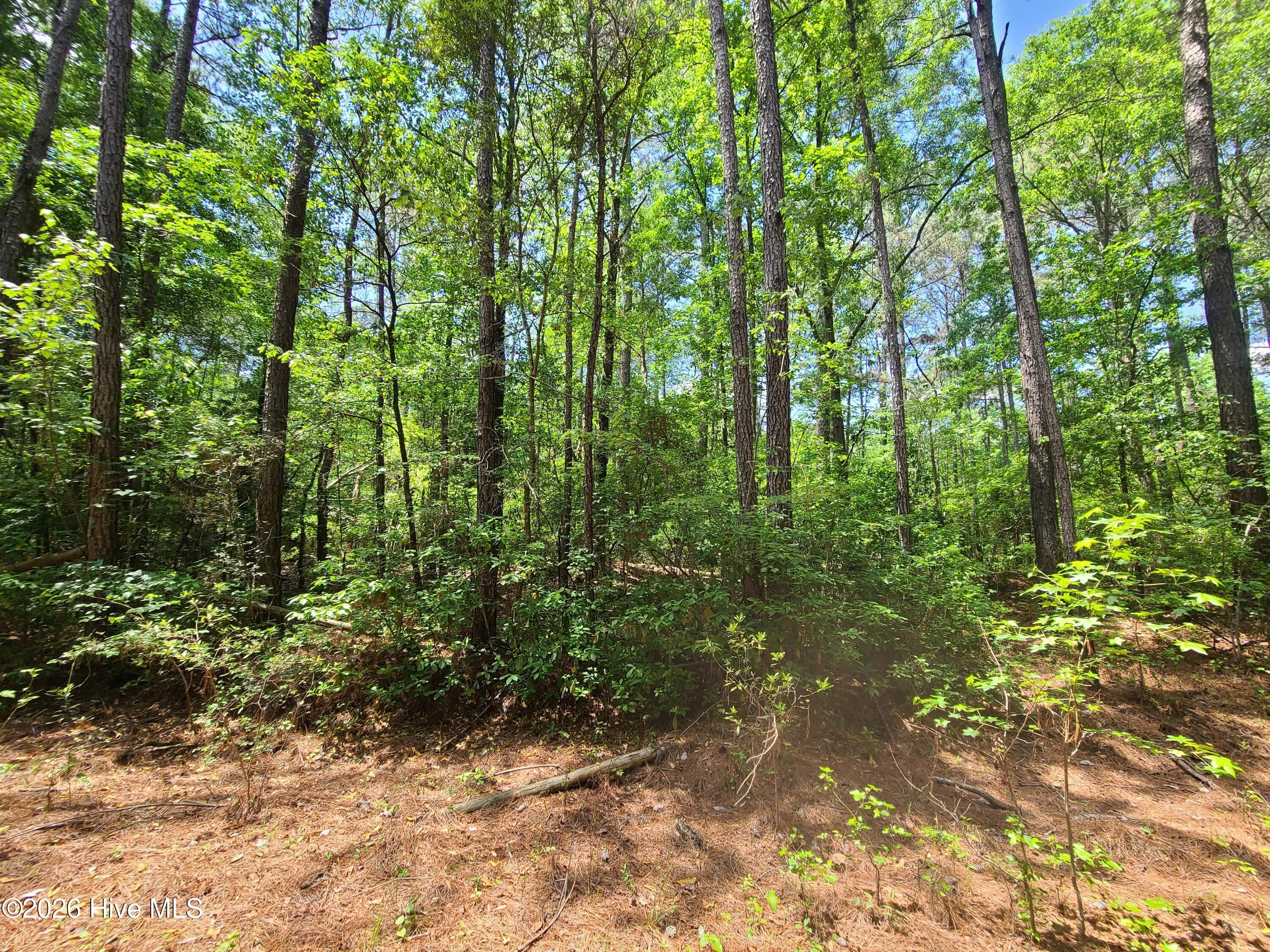 Wooded at 55 55 Mable Street, Kinston, NC 28504, photo 2 of 4