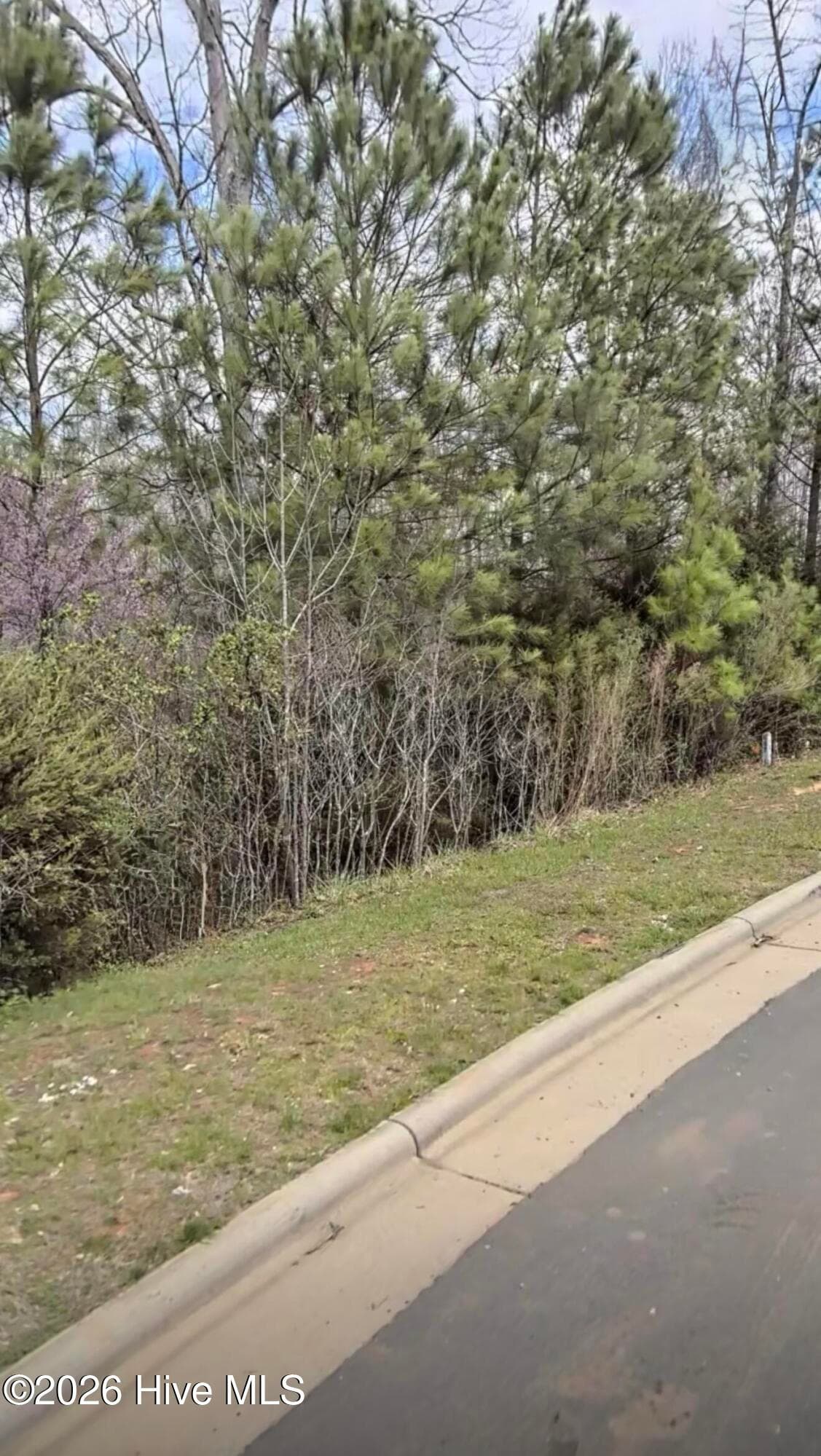 Residential Lot at 67 Lookout Ridge, Pittsboro, NC 27312, photo 2 of 2