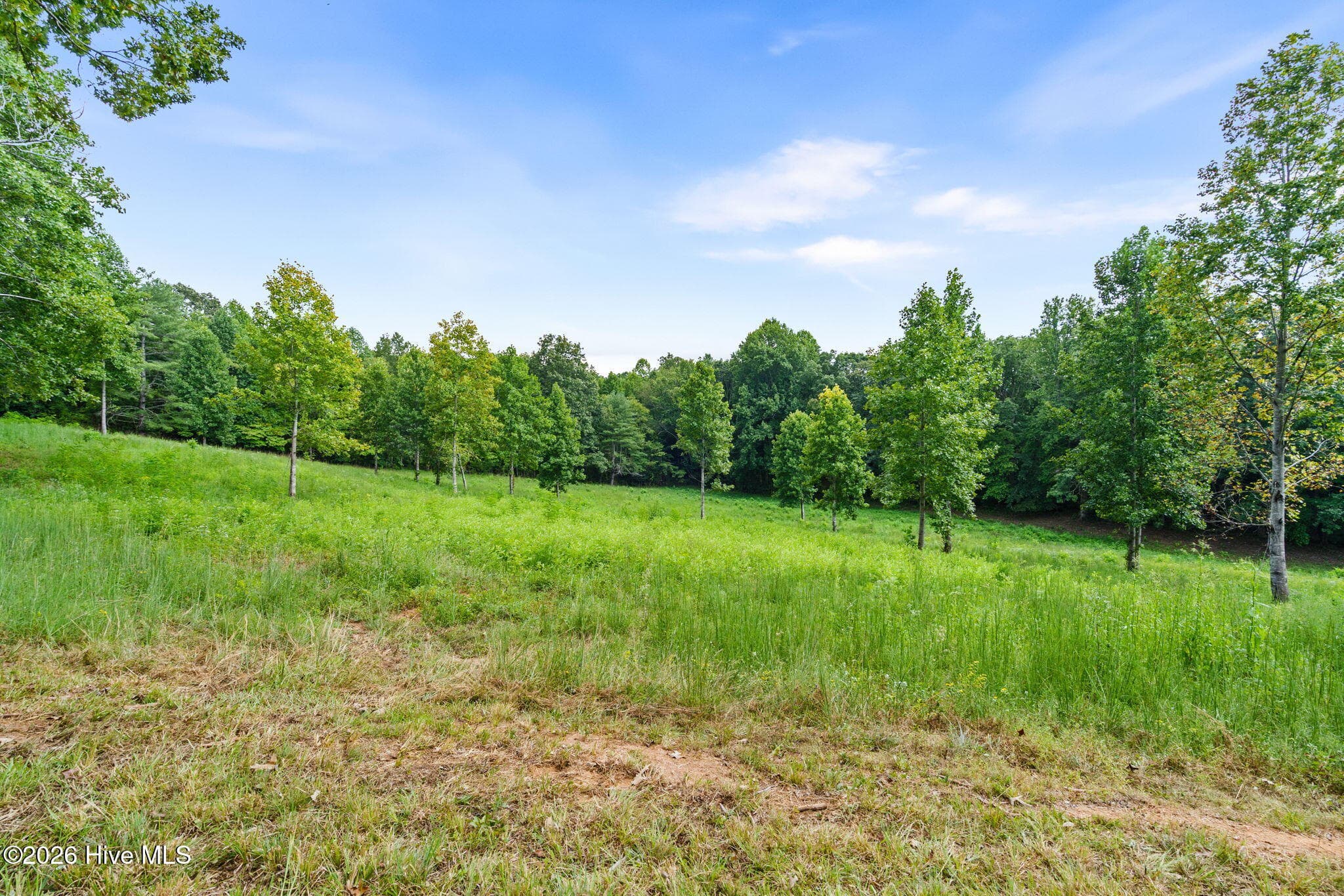 Undeveloped at 314 Lakeside Drive, Hiawassee, GA 30546, photo 6 of 9