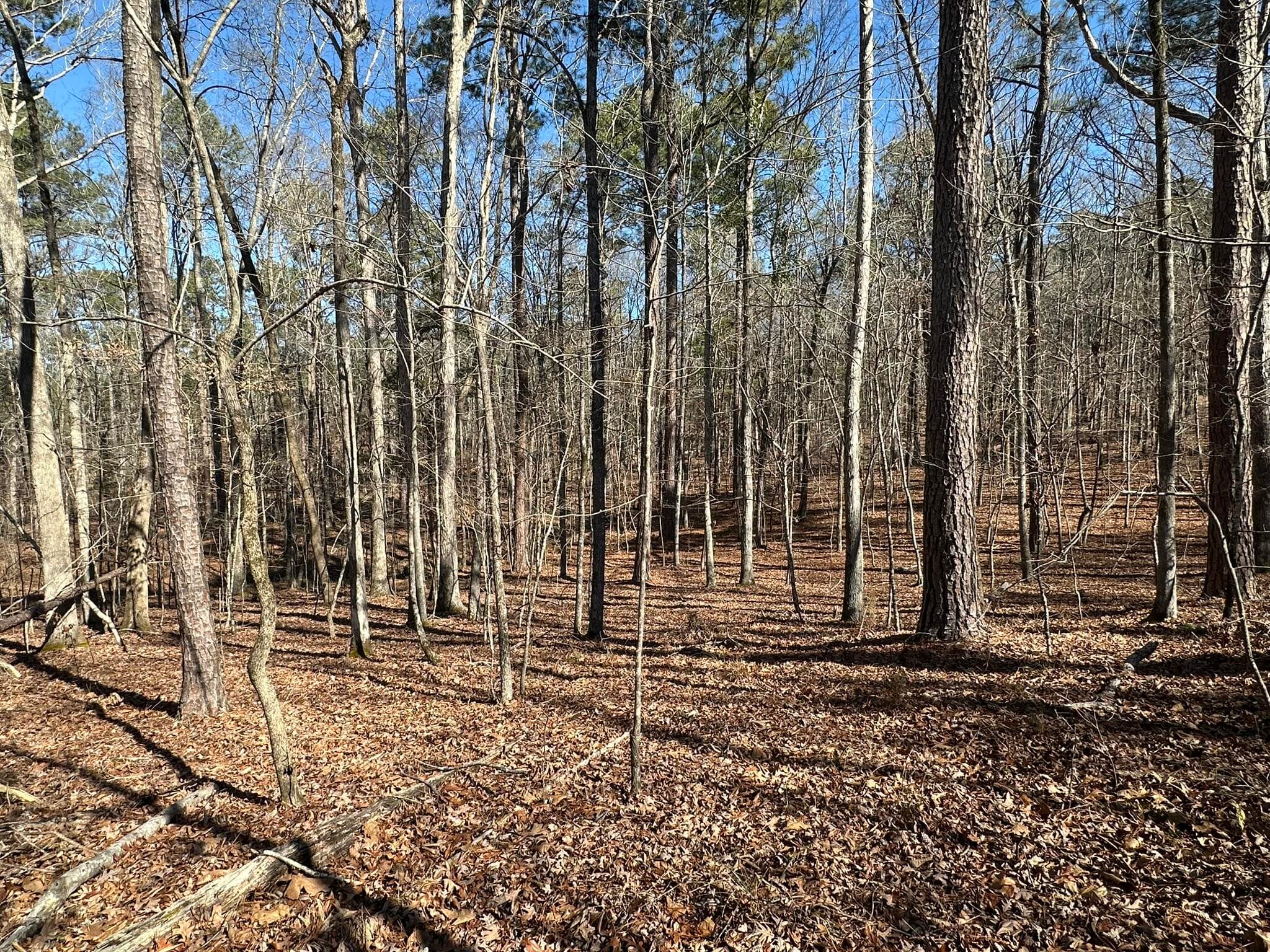 Residential Lot at 117 B35 L9 Cumberland Drive, McCormick, SC 29835, photo 6 of 14