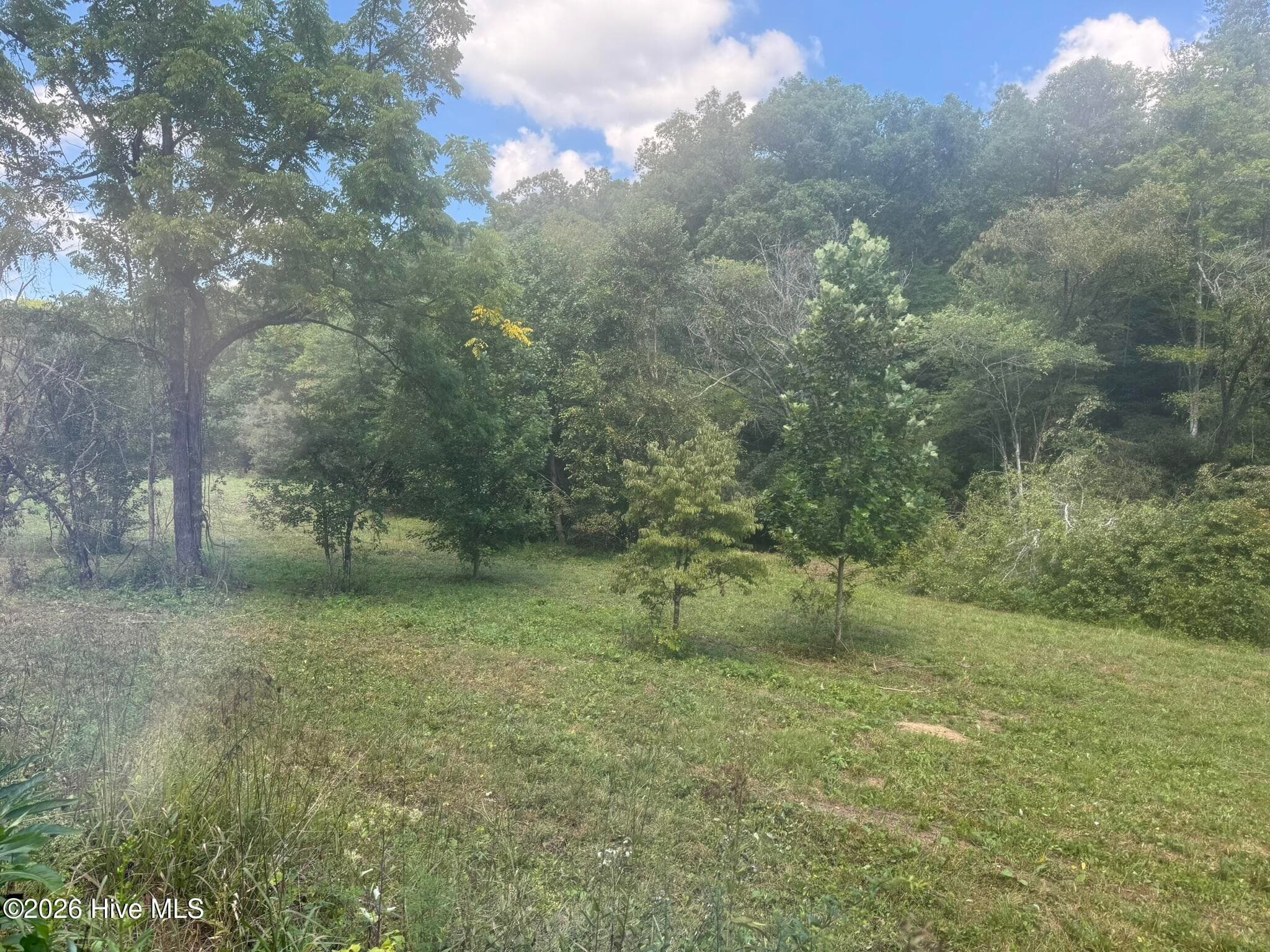 Undeveloped at 2231 Camp Creek Road, Murphy, NC 28906, photo 23 of 23