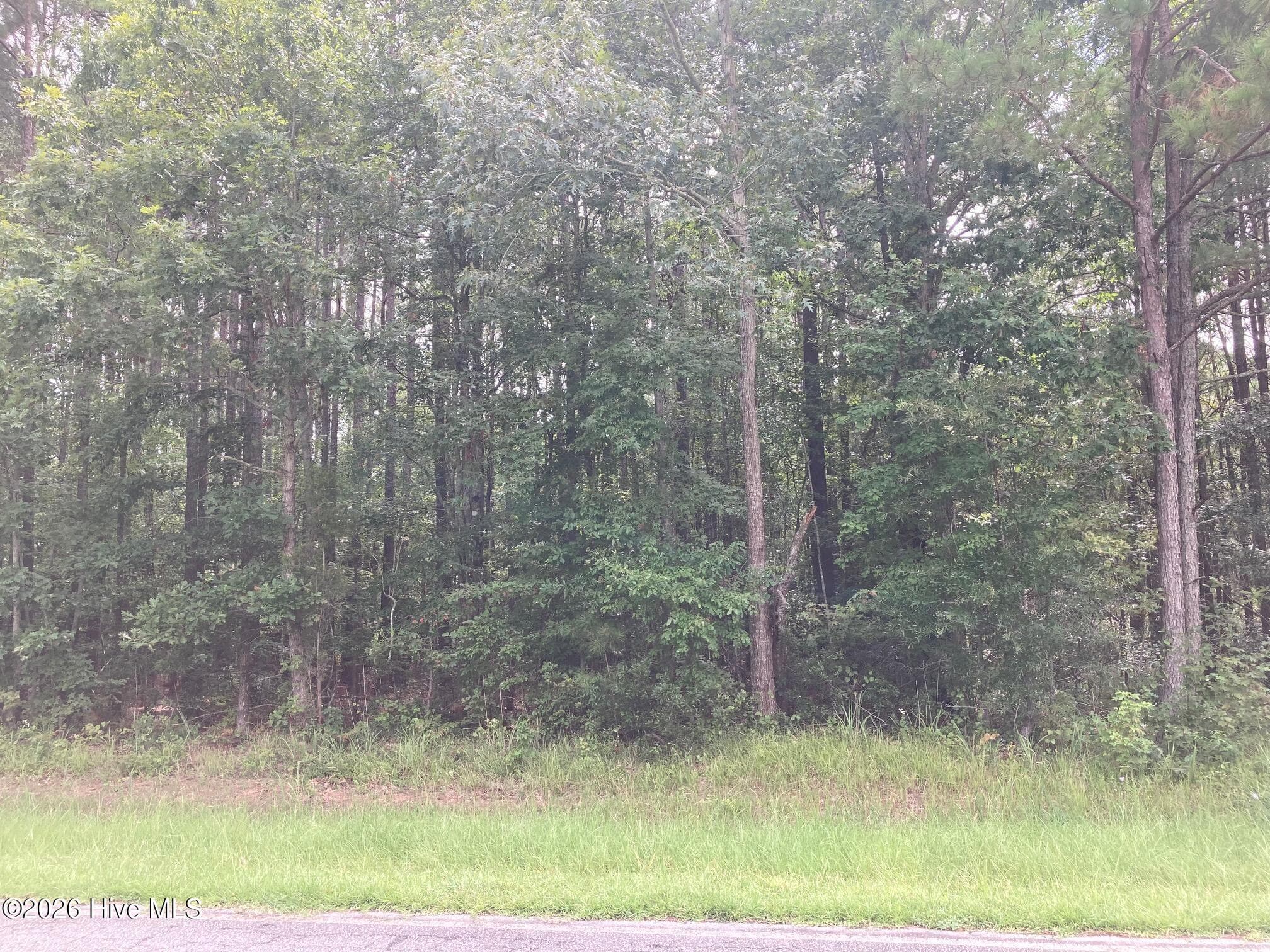 Residential Lot at Lot # 33 33 33 Pine Crest Road, Bath, NC 27808, photo 4 of 7