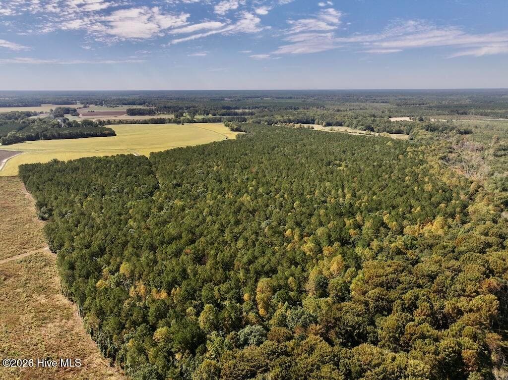 Mixed Use at 0 Spring Hill Road, Scotland Neck, NC 27874, photo 76 of 93
