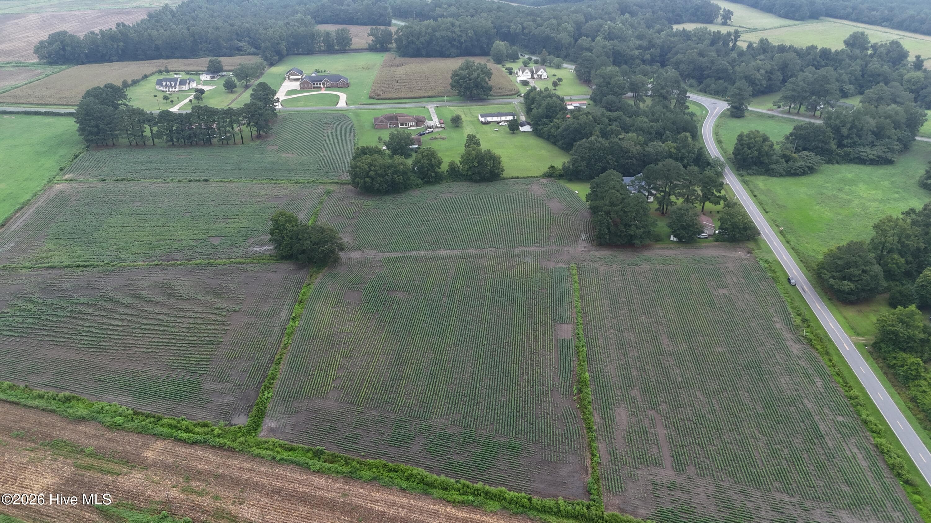 Agriculture at Near 128 Bay Rd., Rose Hill, NC 28458, photo 7 of 21
