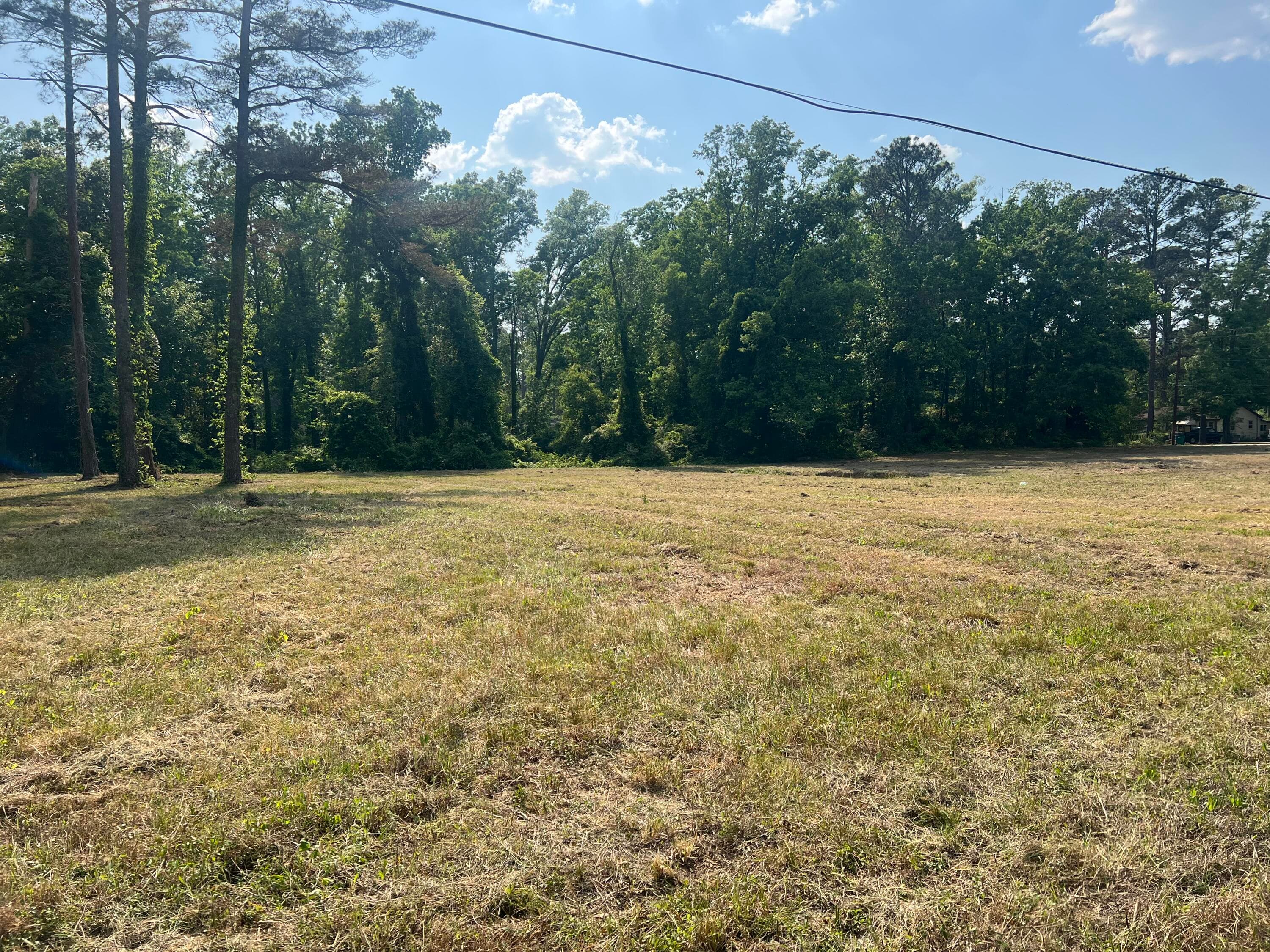 Residential Lot at 323 Forrest Clary Drive, Thomson, GA 30824, photo 8 of 13